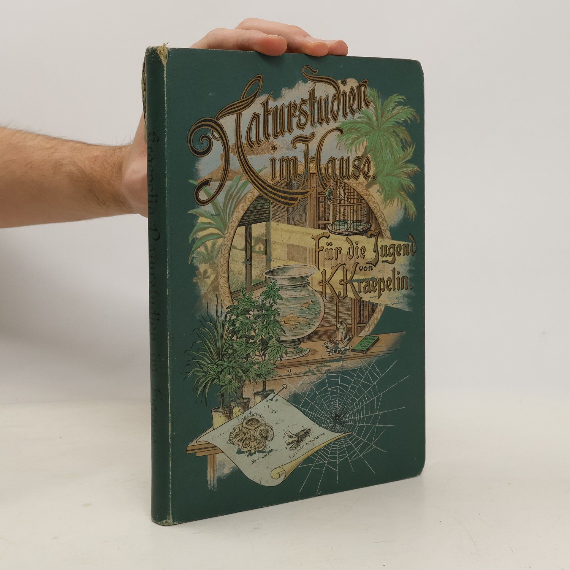 Naturstudien im Hause