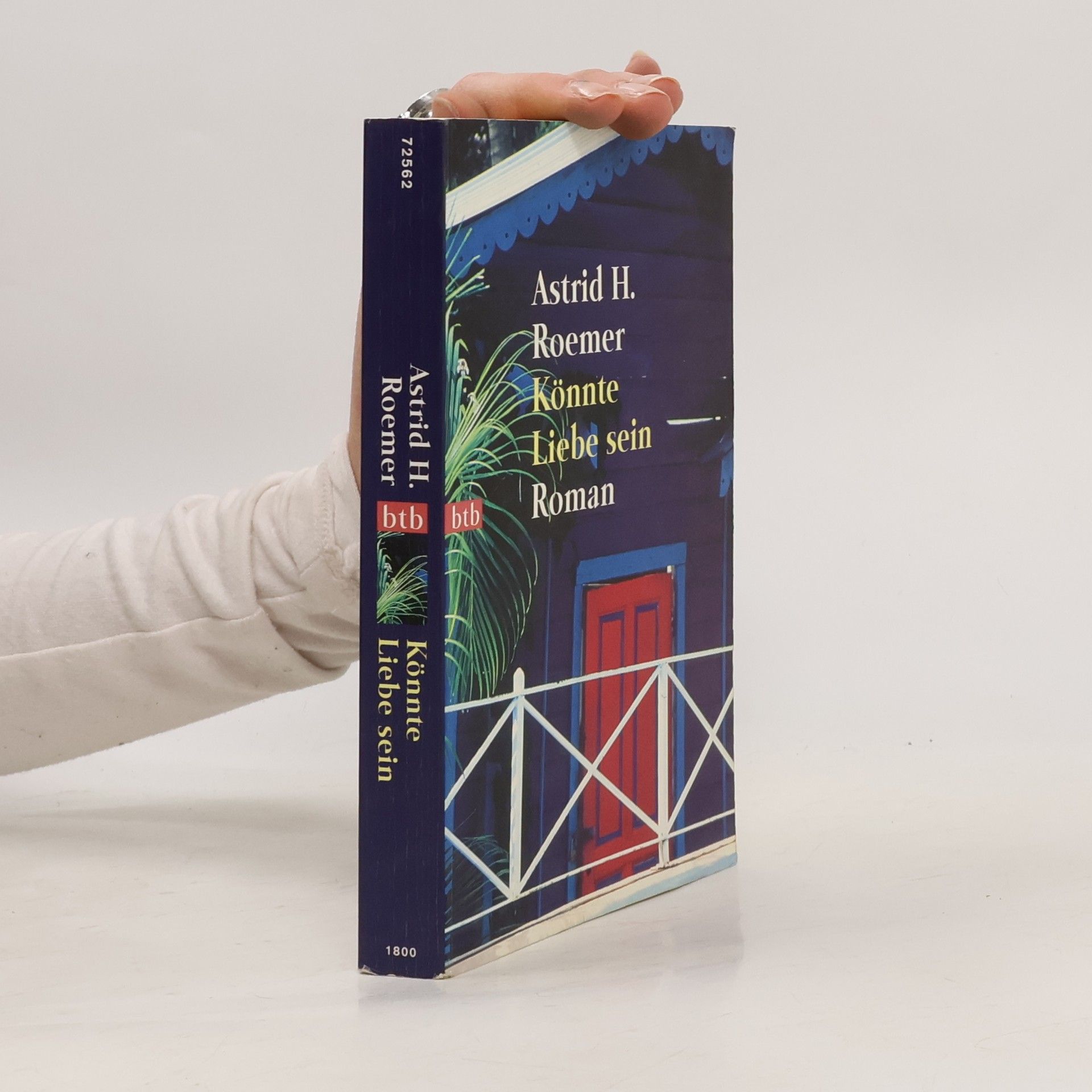 Astrid Roemer Könnte Liebe sein