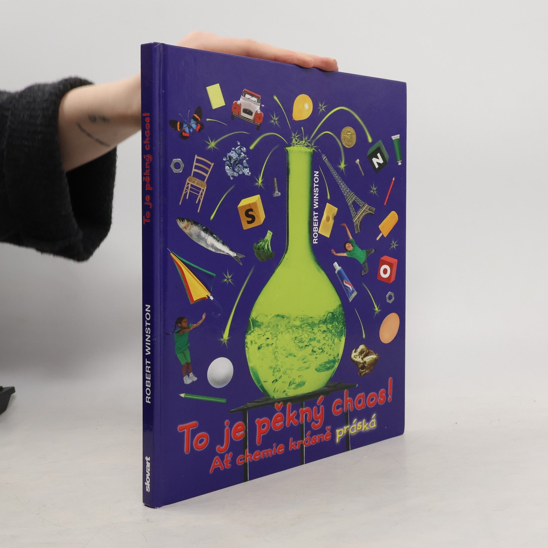 Robert M. L. Winston To je pěkný chaos!