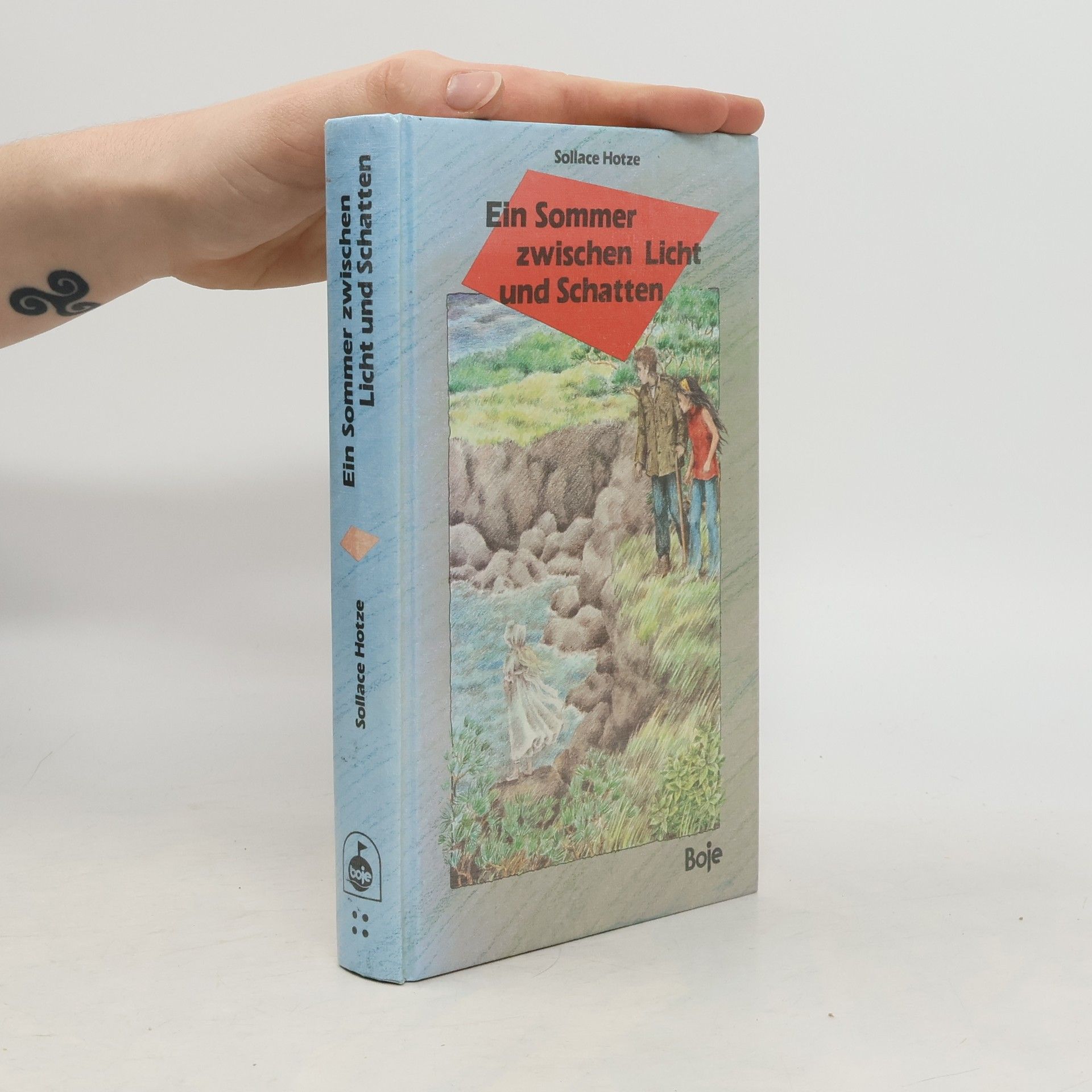 Sollace Hotze Ein Sommer Zwischen Licht Und Schatten