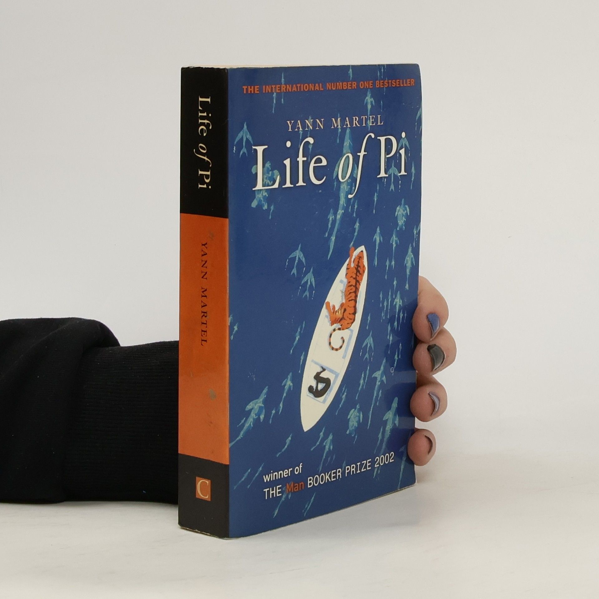 Yann Martel Life of Pi