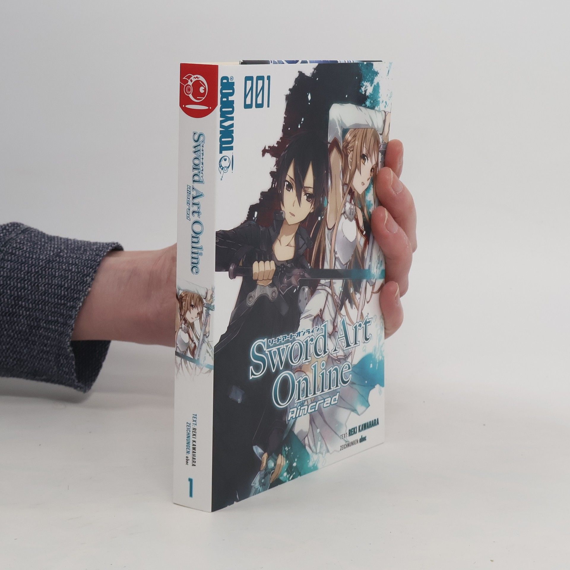 Reki Kawahara Sword Art Online 001