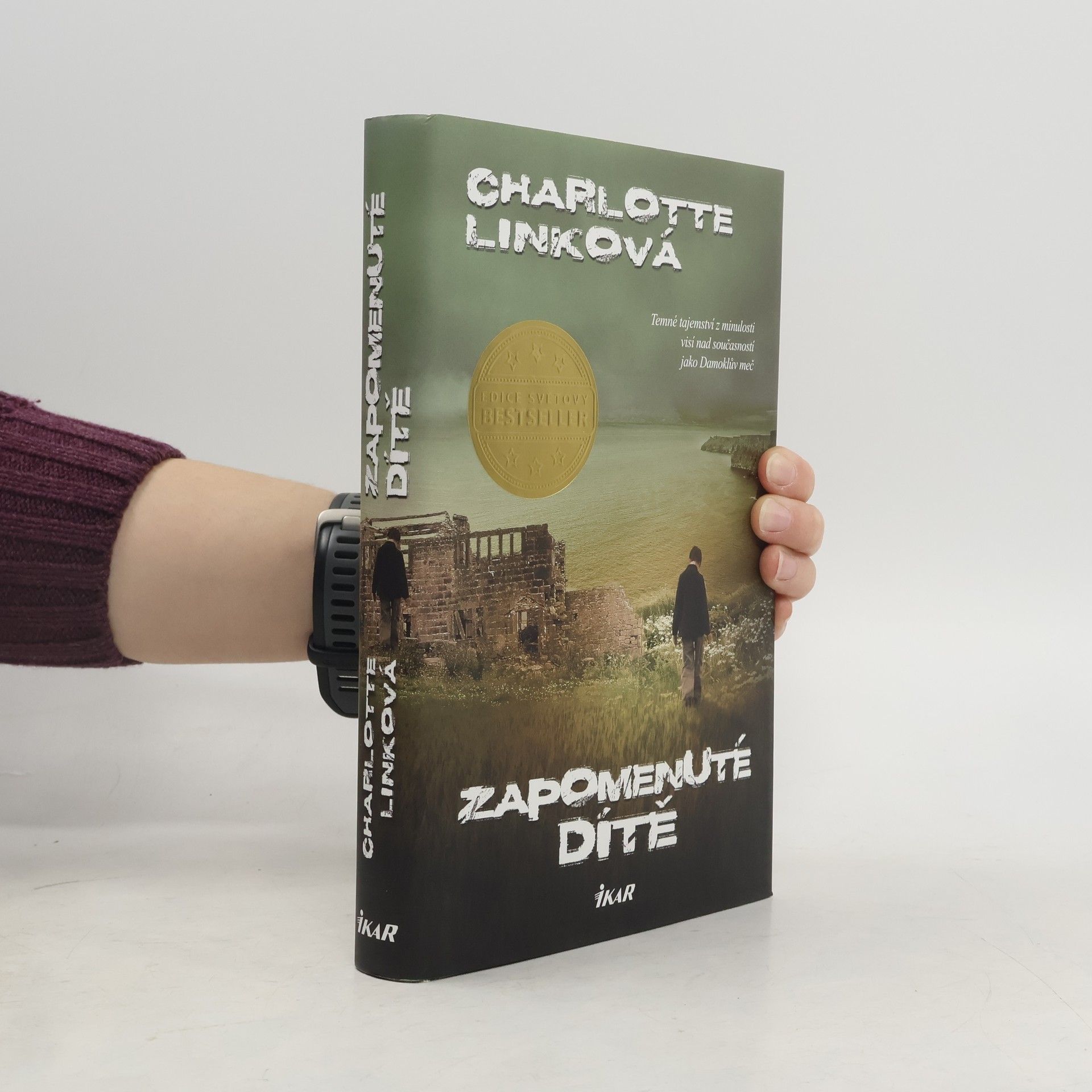 Charlotte Link Zapomenuté dítě