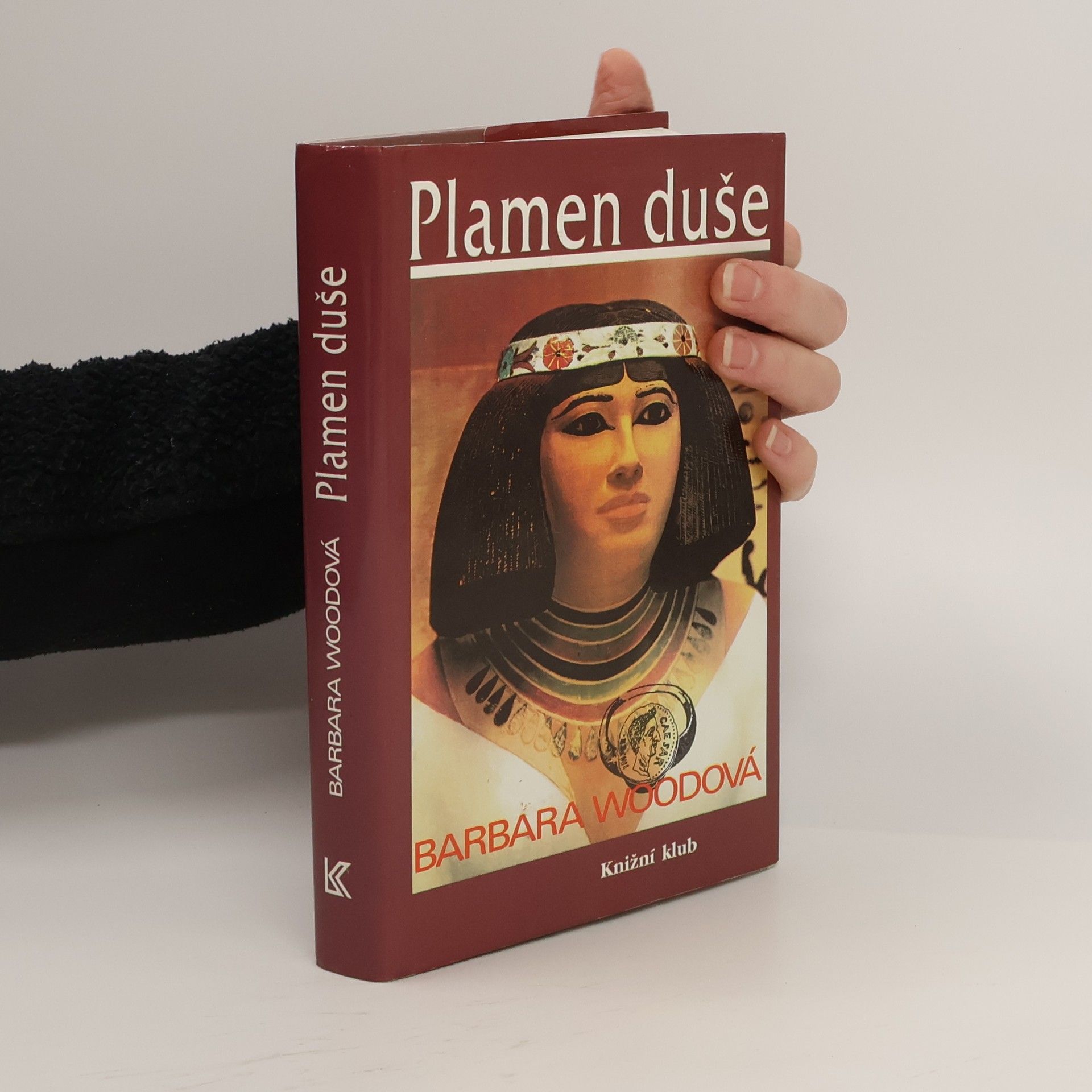 Barbara Wood Plamen duše