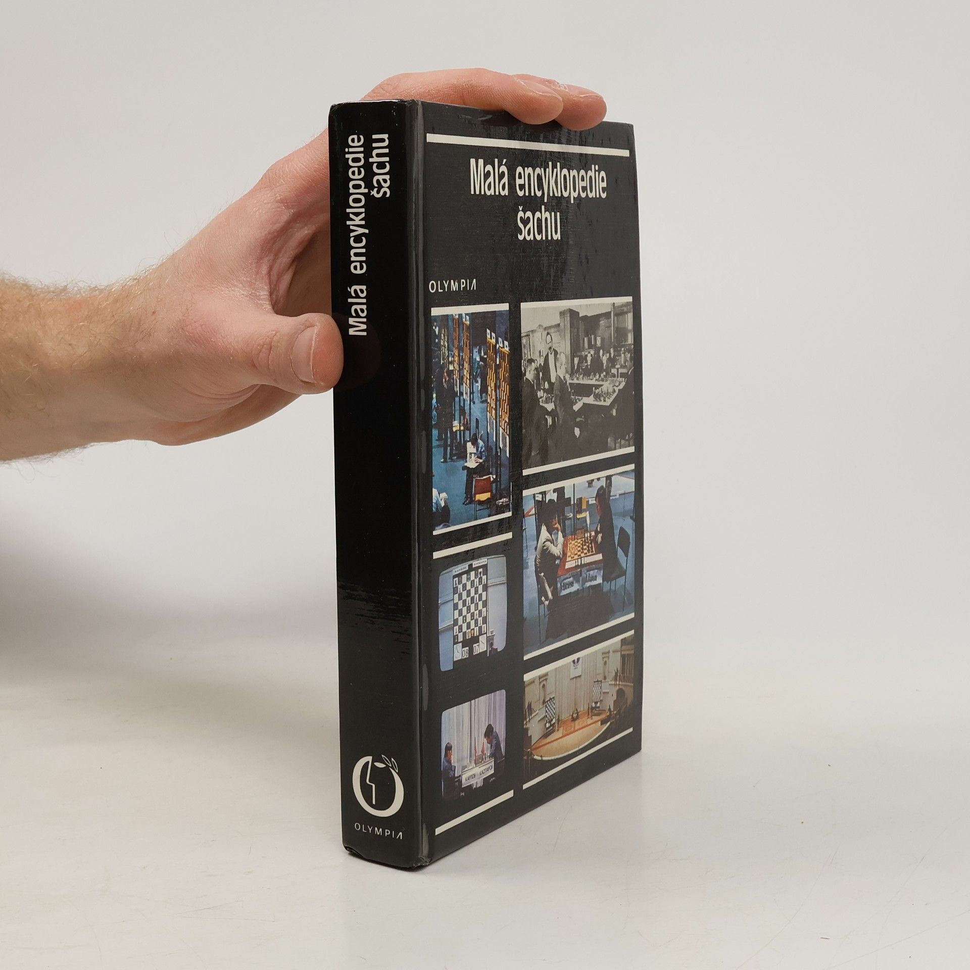 Malá encyklopedie šachu