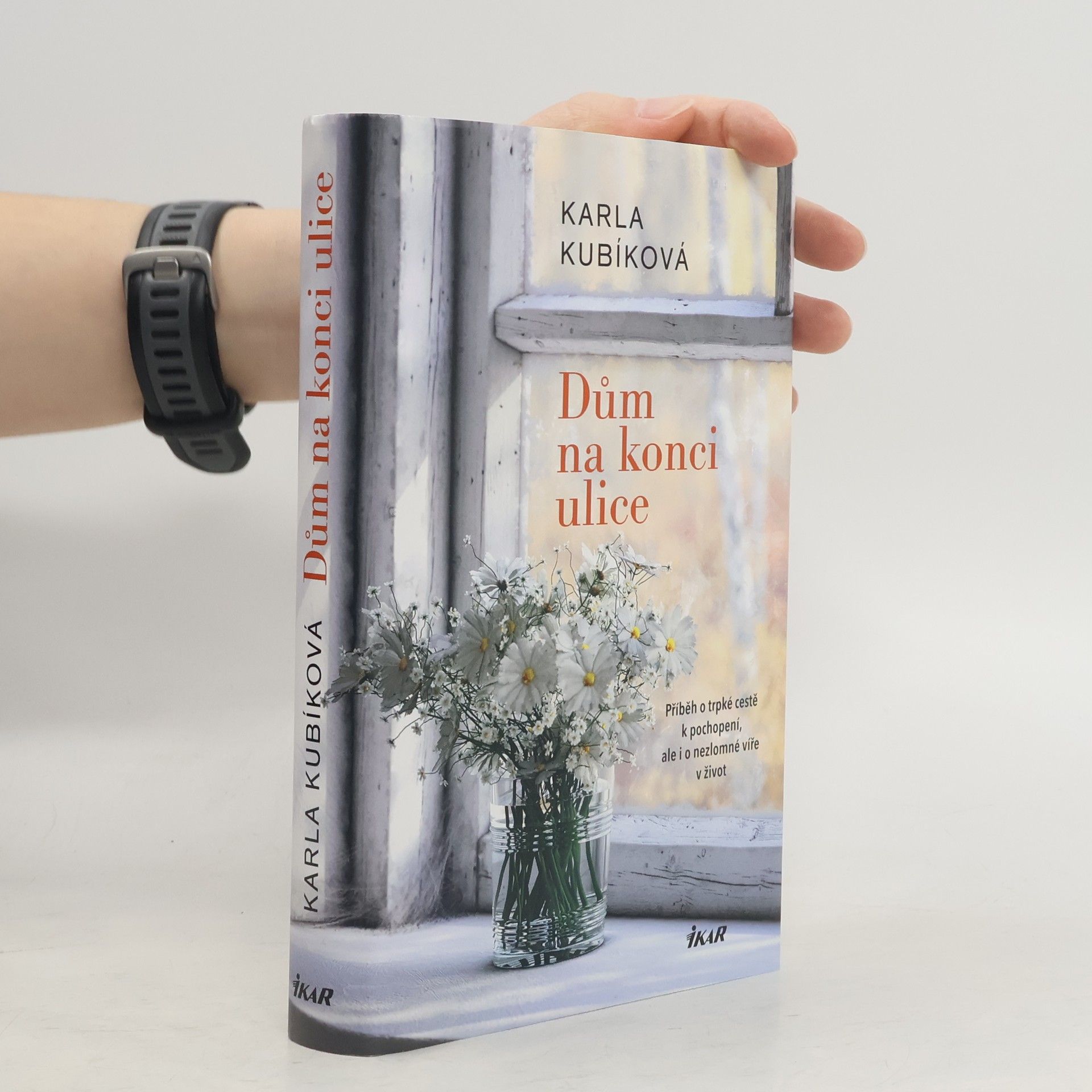 Dům na konci ulice. Příběh o trpké cestě k pochopení, ale i o nezlomné víře v život