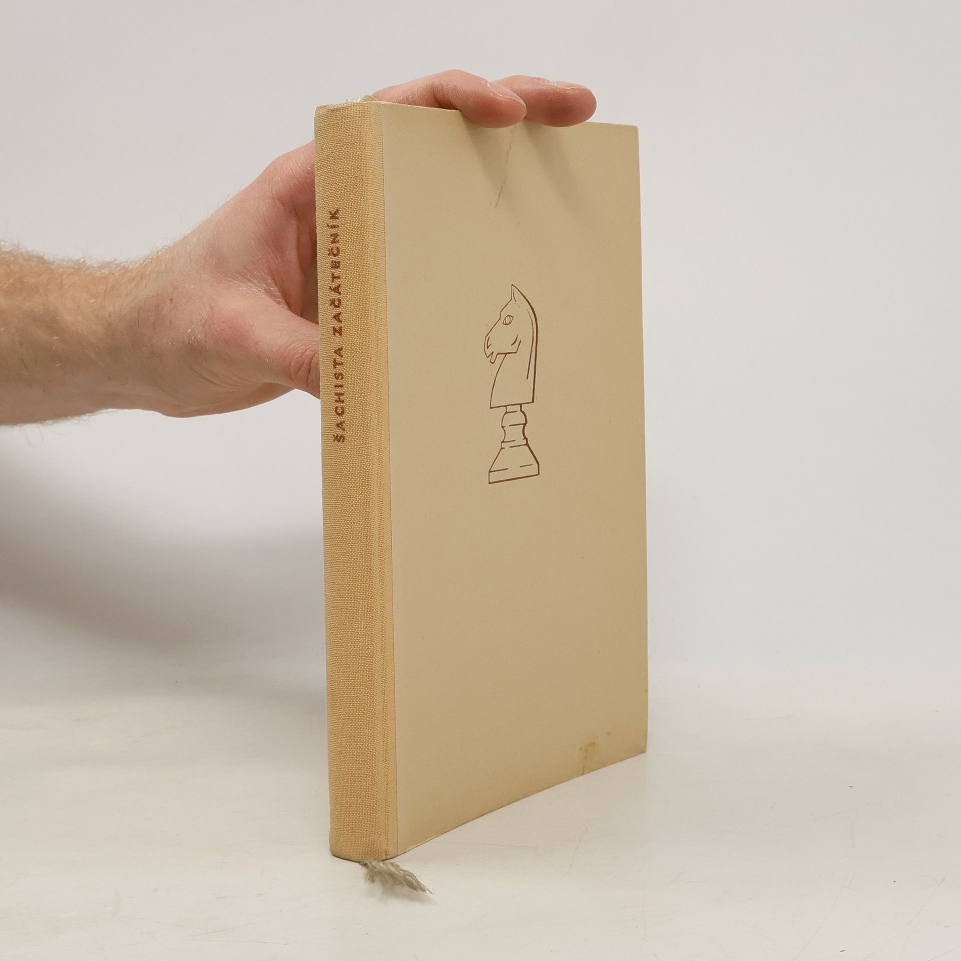 Šachista začátečník