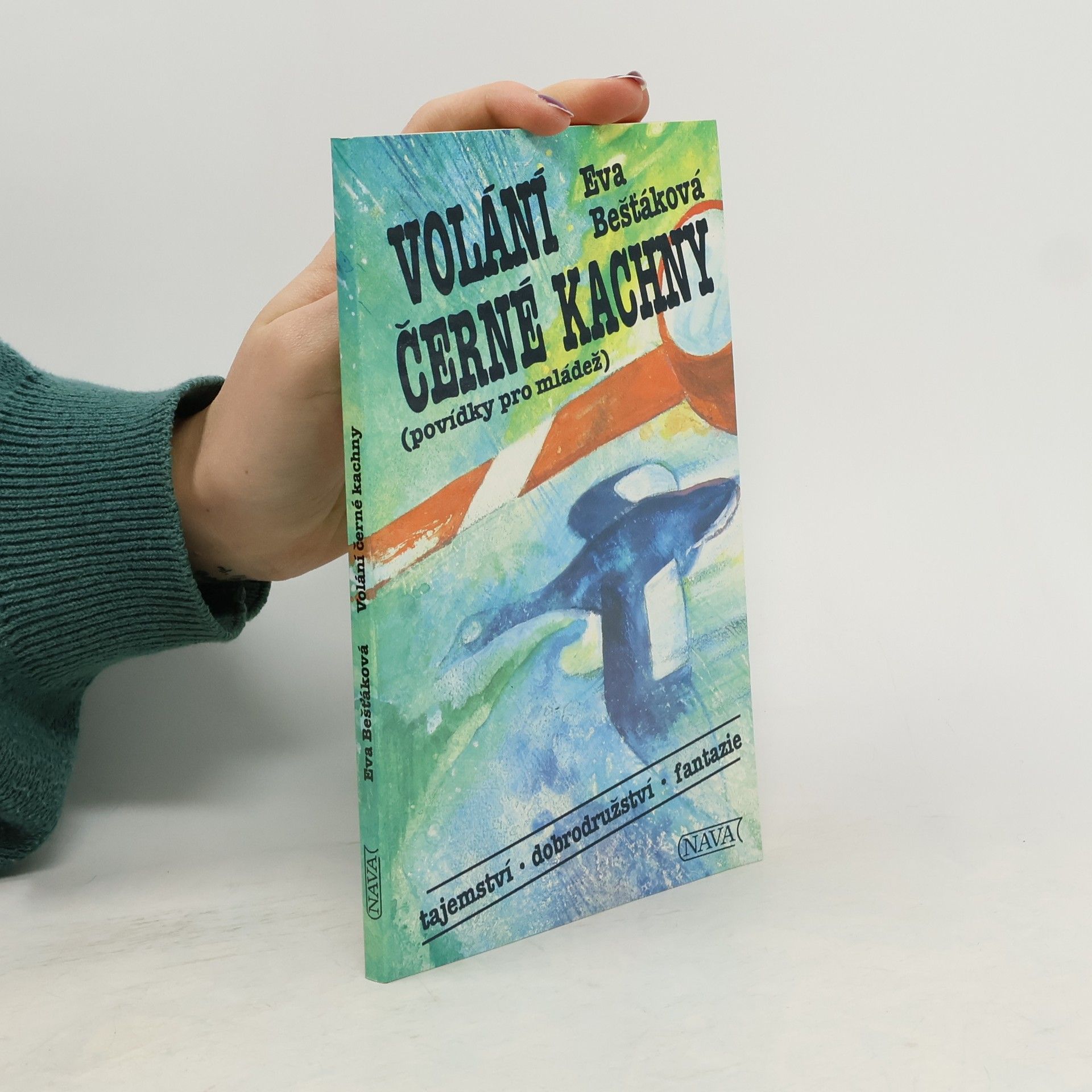 Eva Bešťáková Volání černé kachny : povídky pro mládež