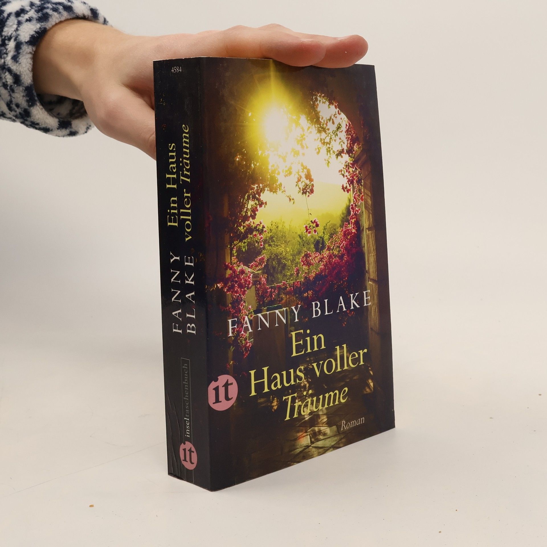 Fanny Blake Ein Haus voller Träume