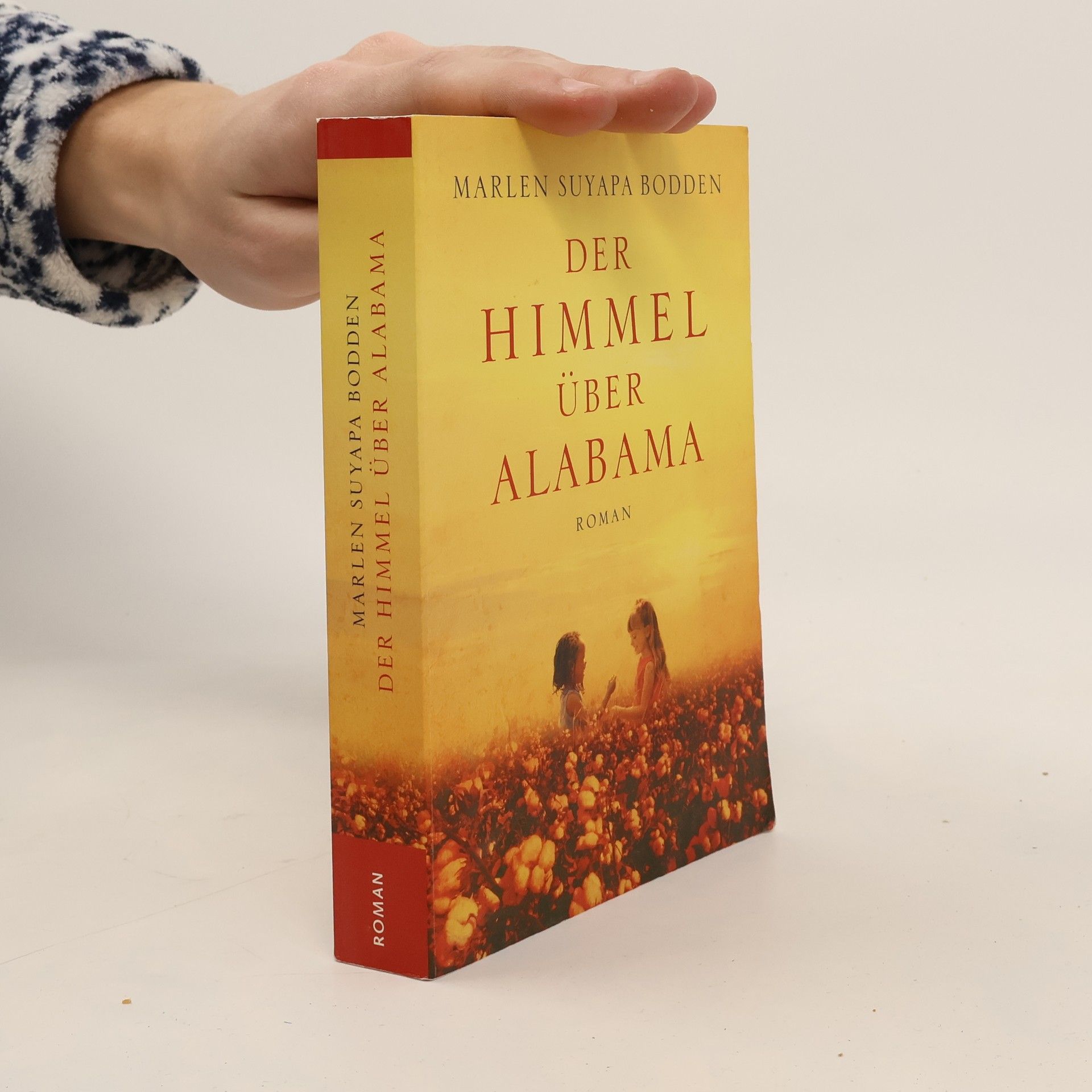 Marlen Suyapa Bodden Der Himmel über Alabama