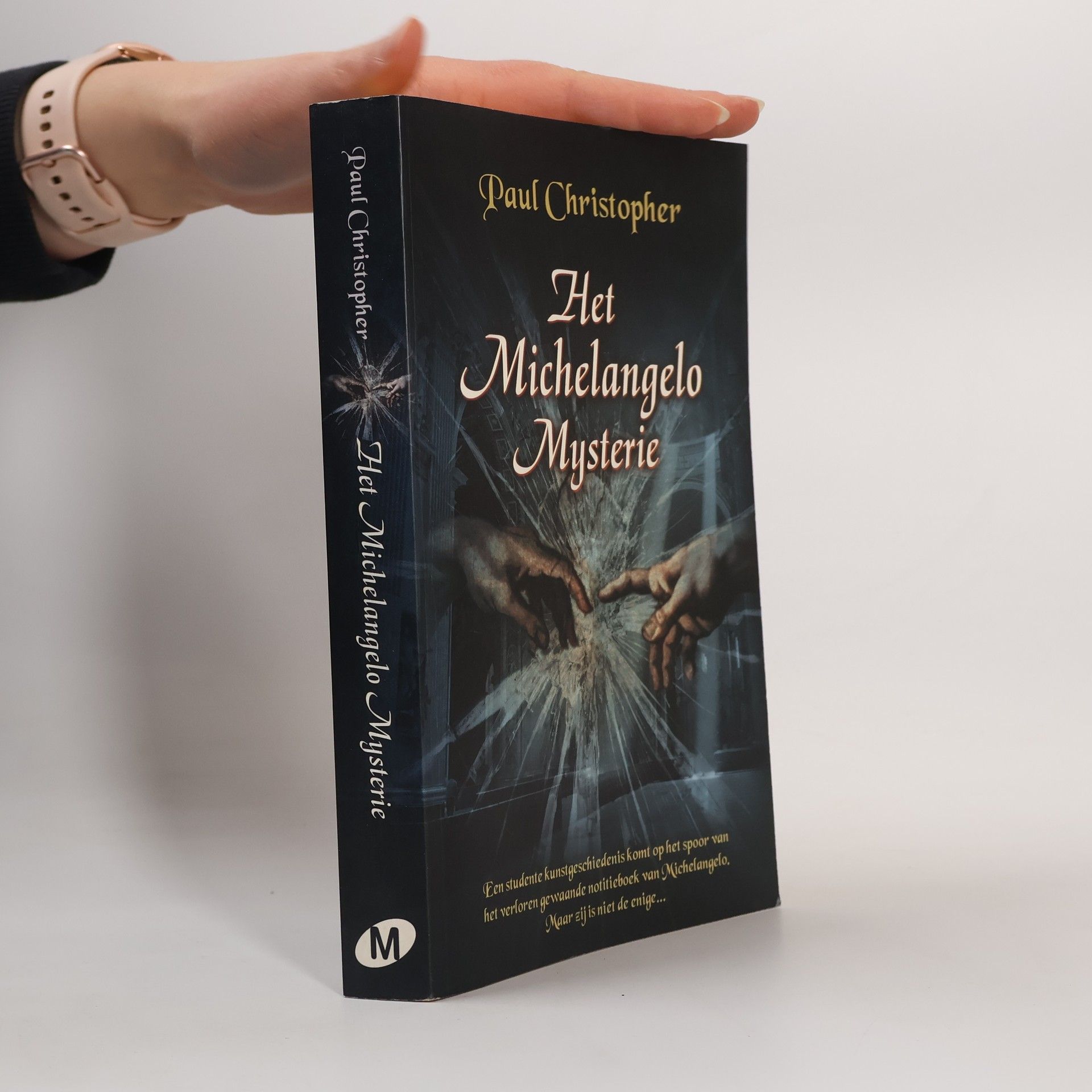 Christopher Hyde Het Michelangelo Mysterie