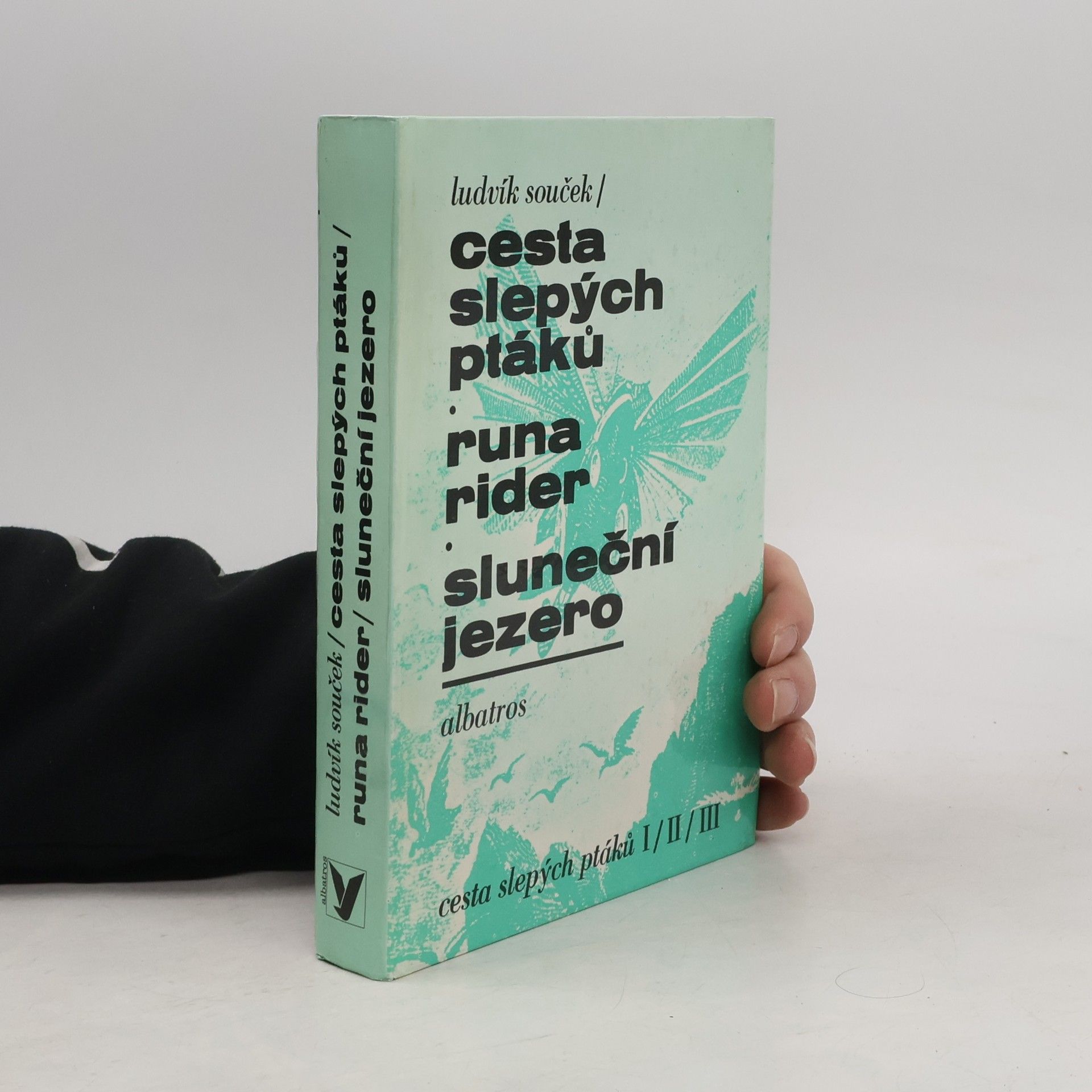 Ludvík Souček Cesta slepých ptáků, Runa rider, Sluneční jezero