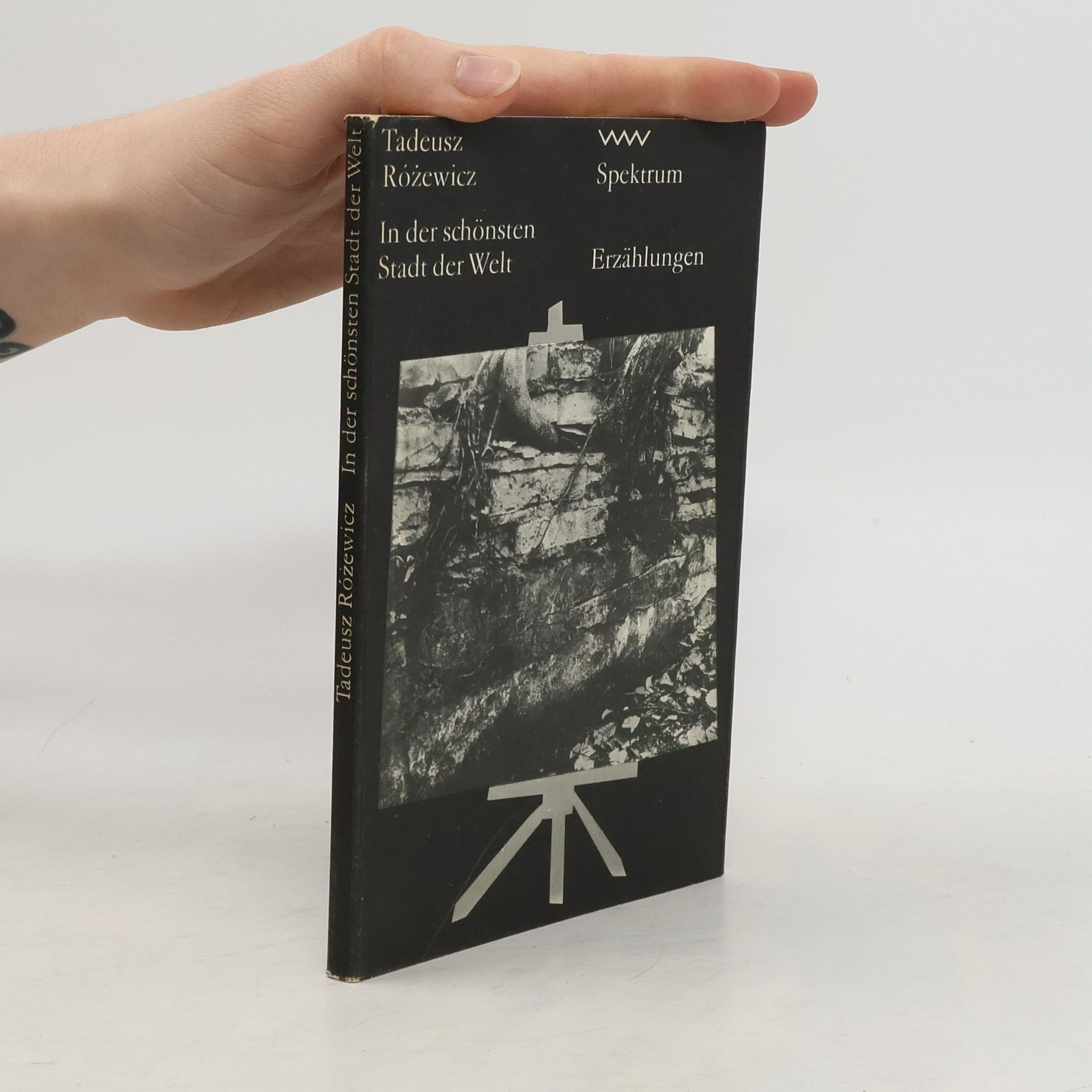Tadeusz Różewicz In der schönsten Stadt der Welt