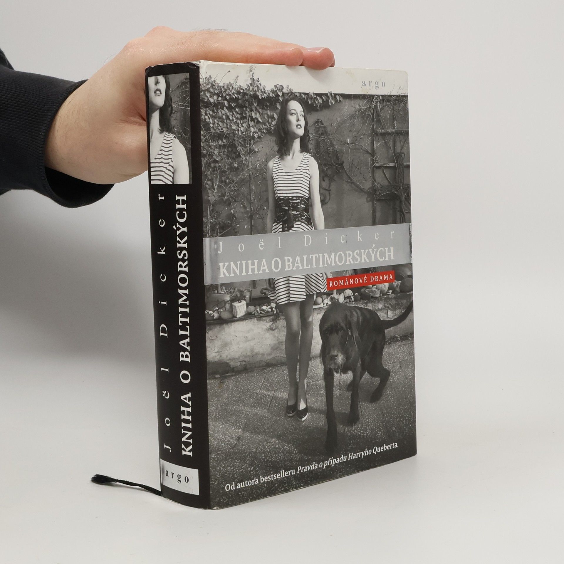 Kniha o Baltimorských