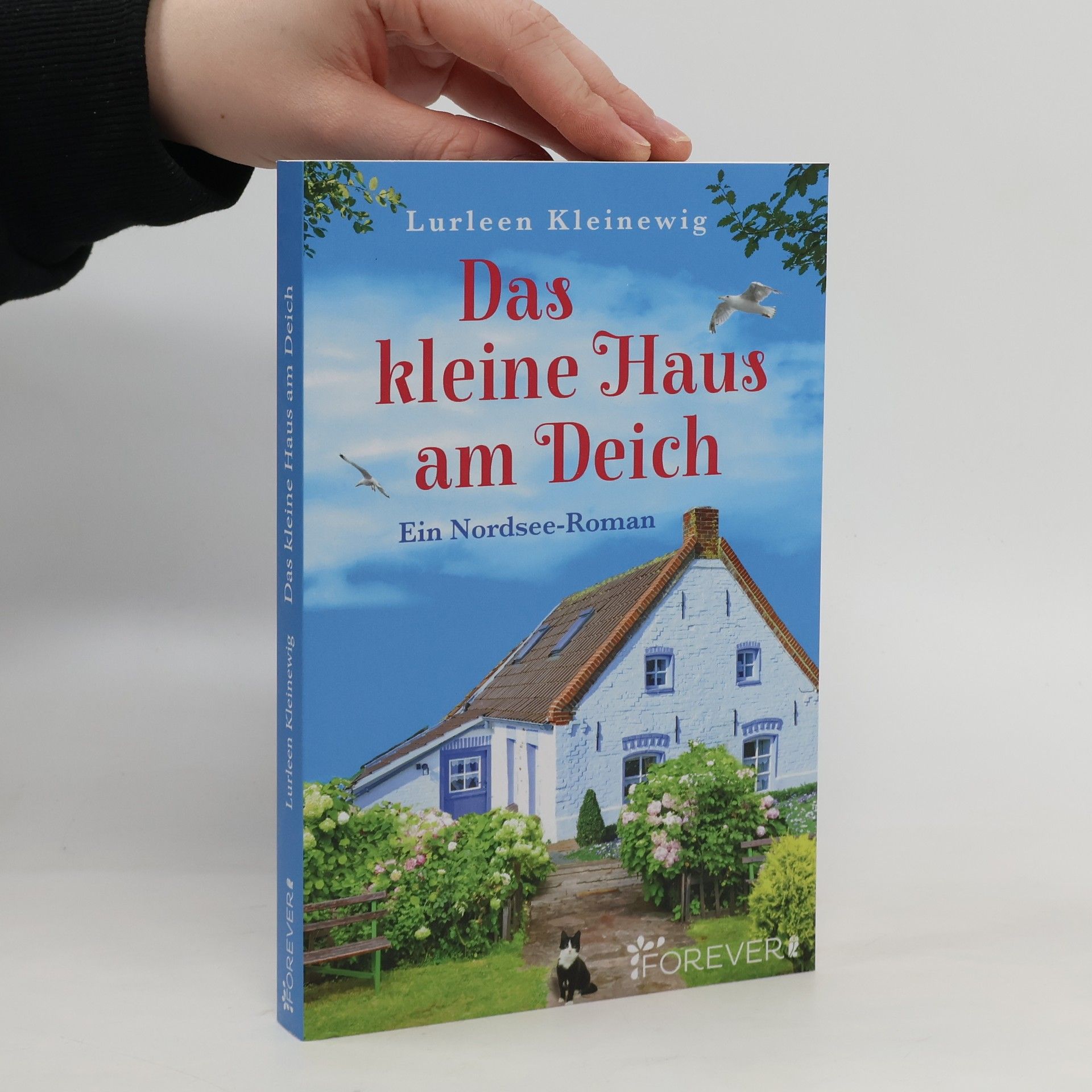 Lurleen Kleinewig Das kleine Haus am Deich