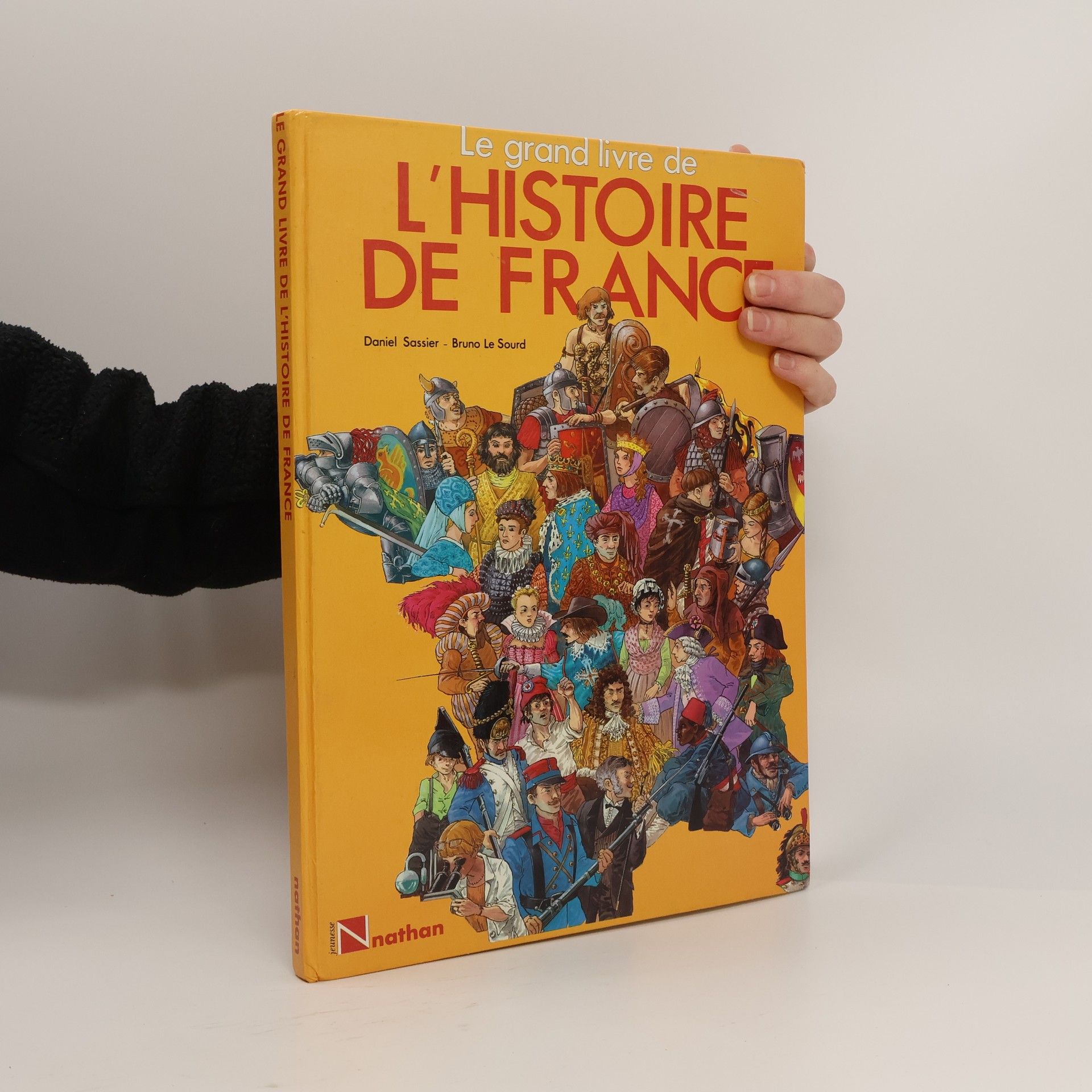 Daniel Sassier Le grand livre de l'Histoire de France