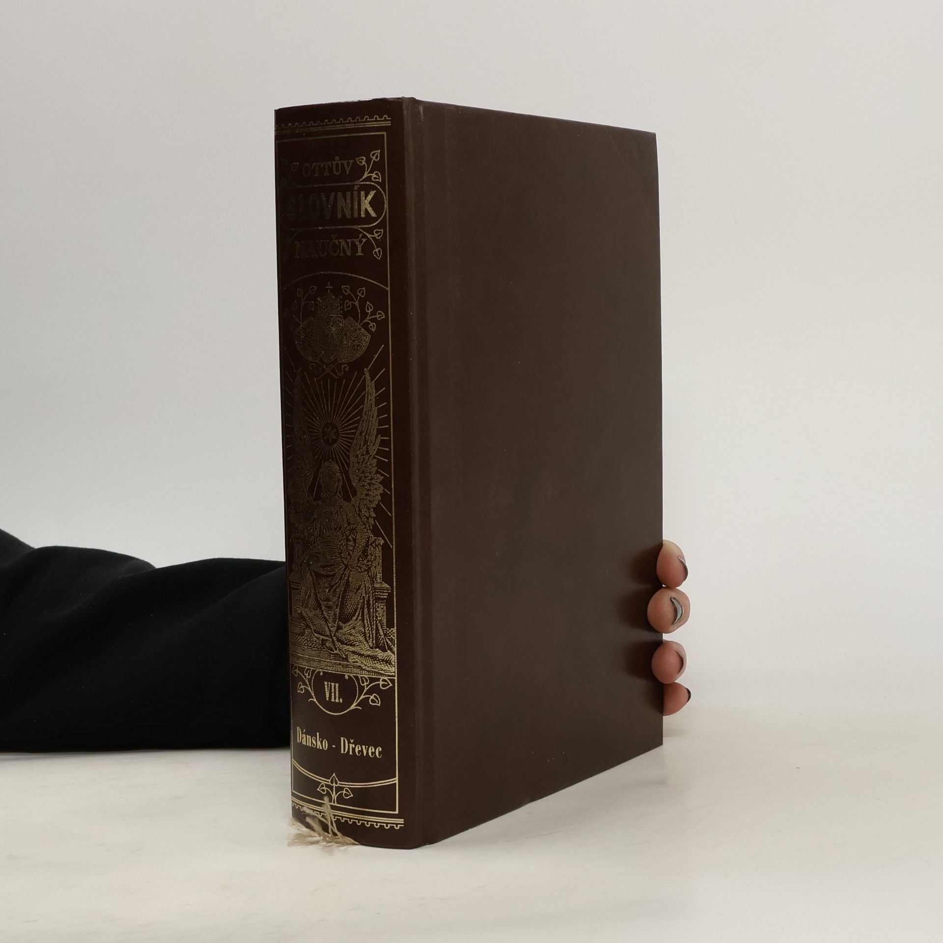 Autorenkollektiv Ottův slovník naučný VII.