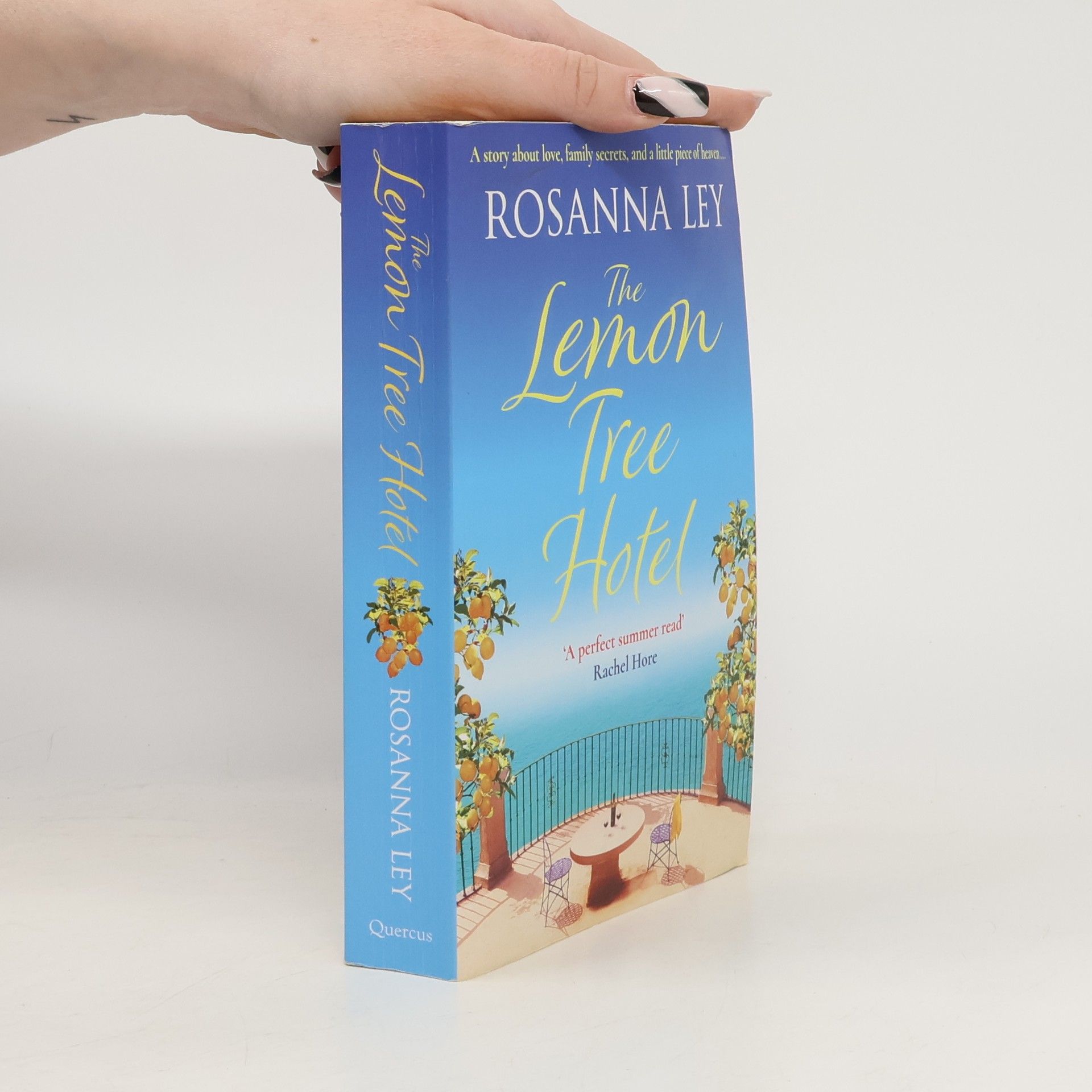 Rosanna Ley The Lemon Tree Hotel