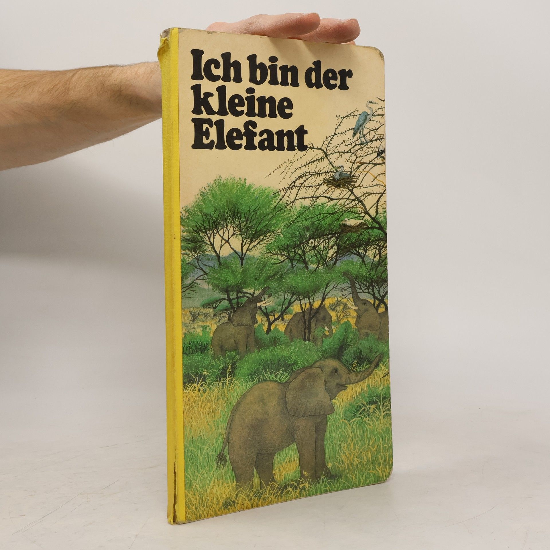 Autorenkollektiv Ich bin der kleine Elefant