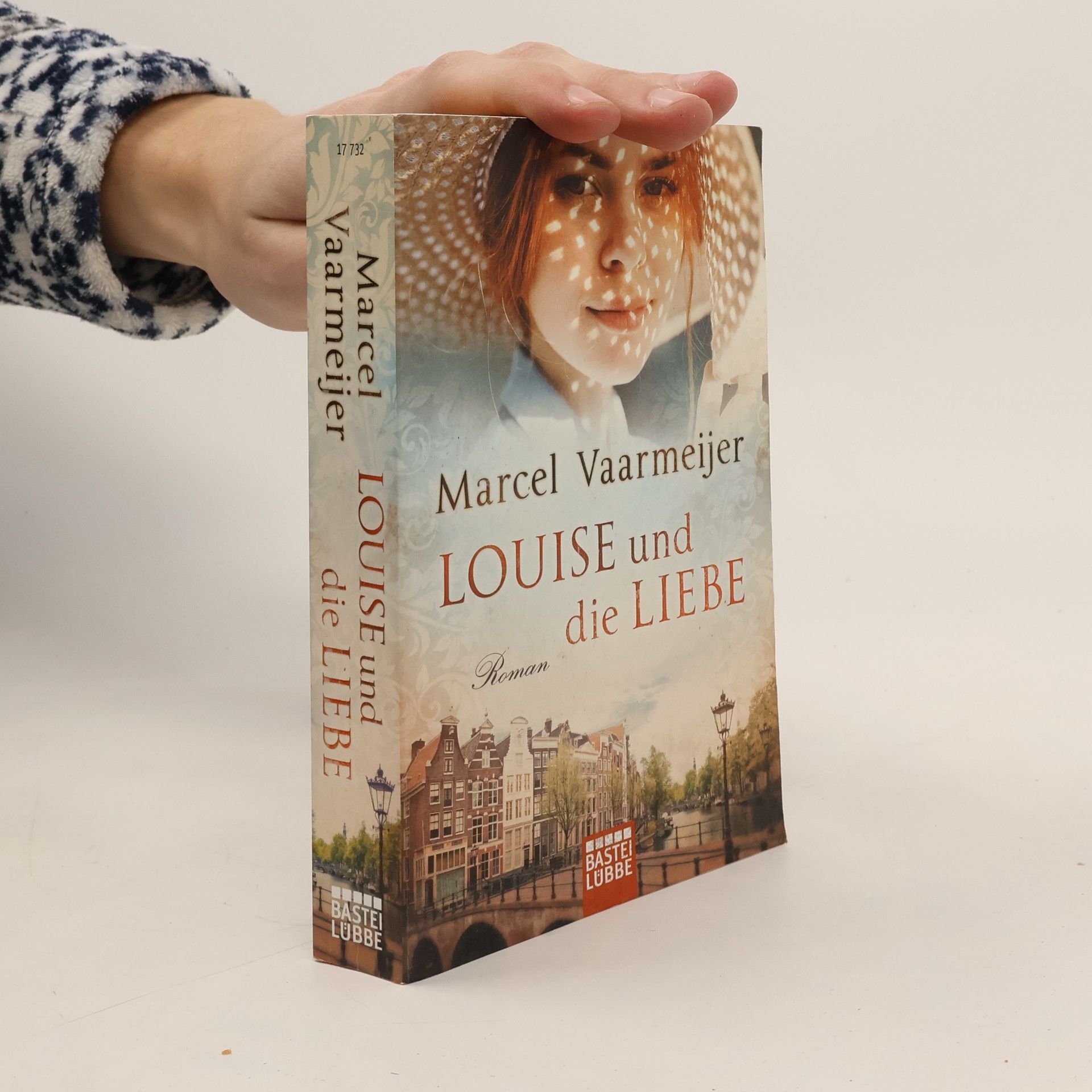 Marcel Vaarmeijer Louise und die Liebe