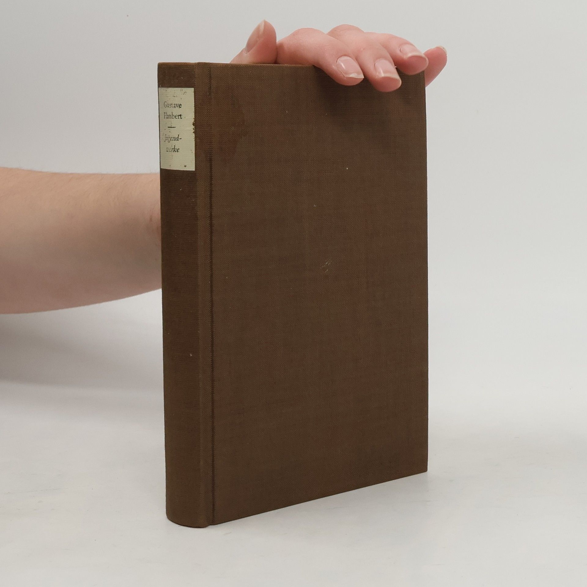 Gustave Flaubert Jugendwerke 1