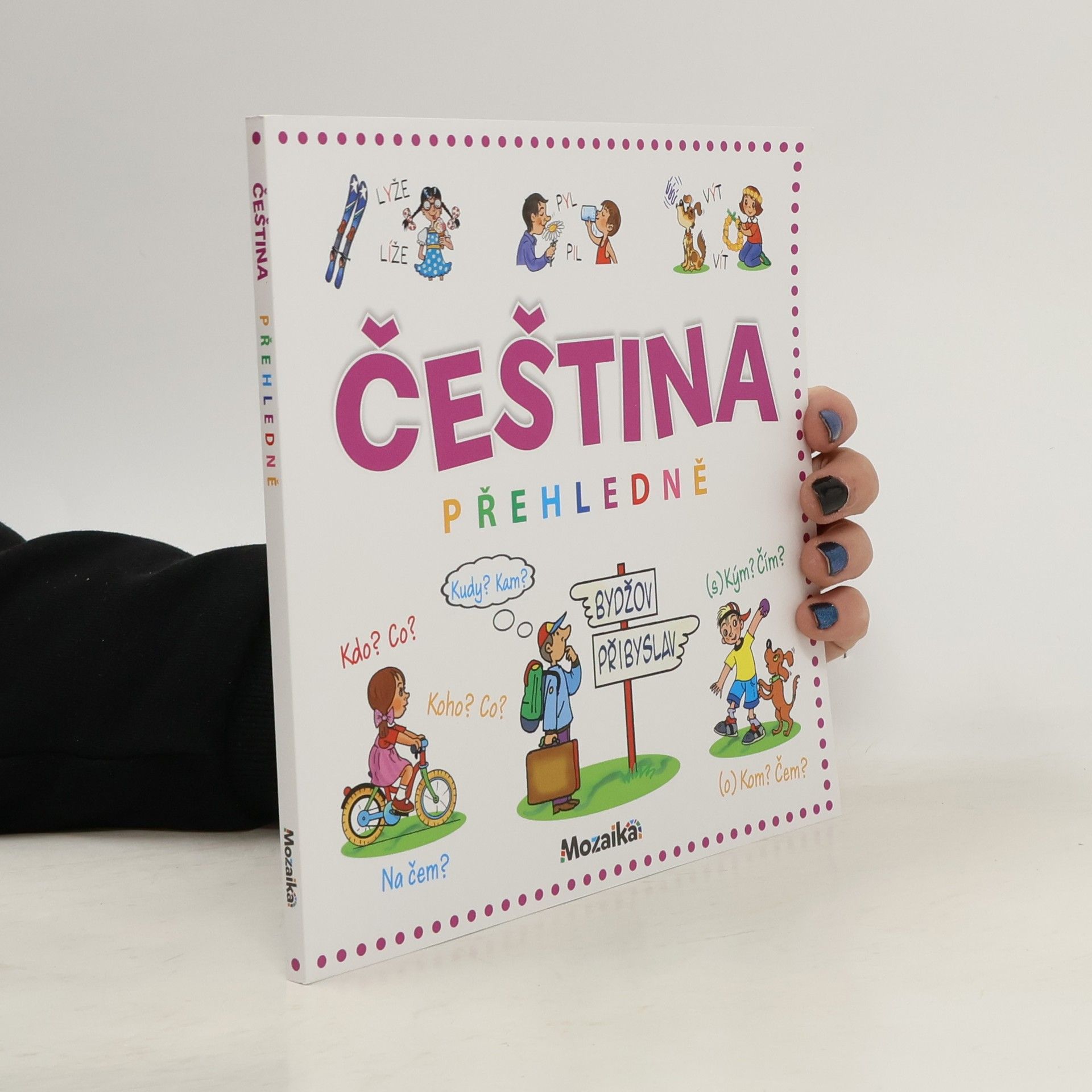 Čeština přehledně