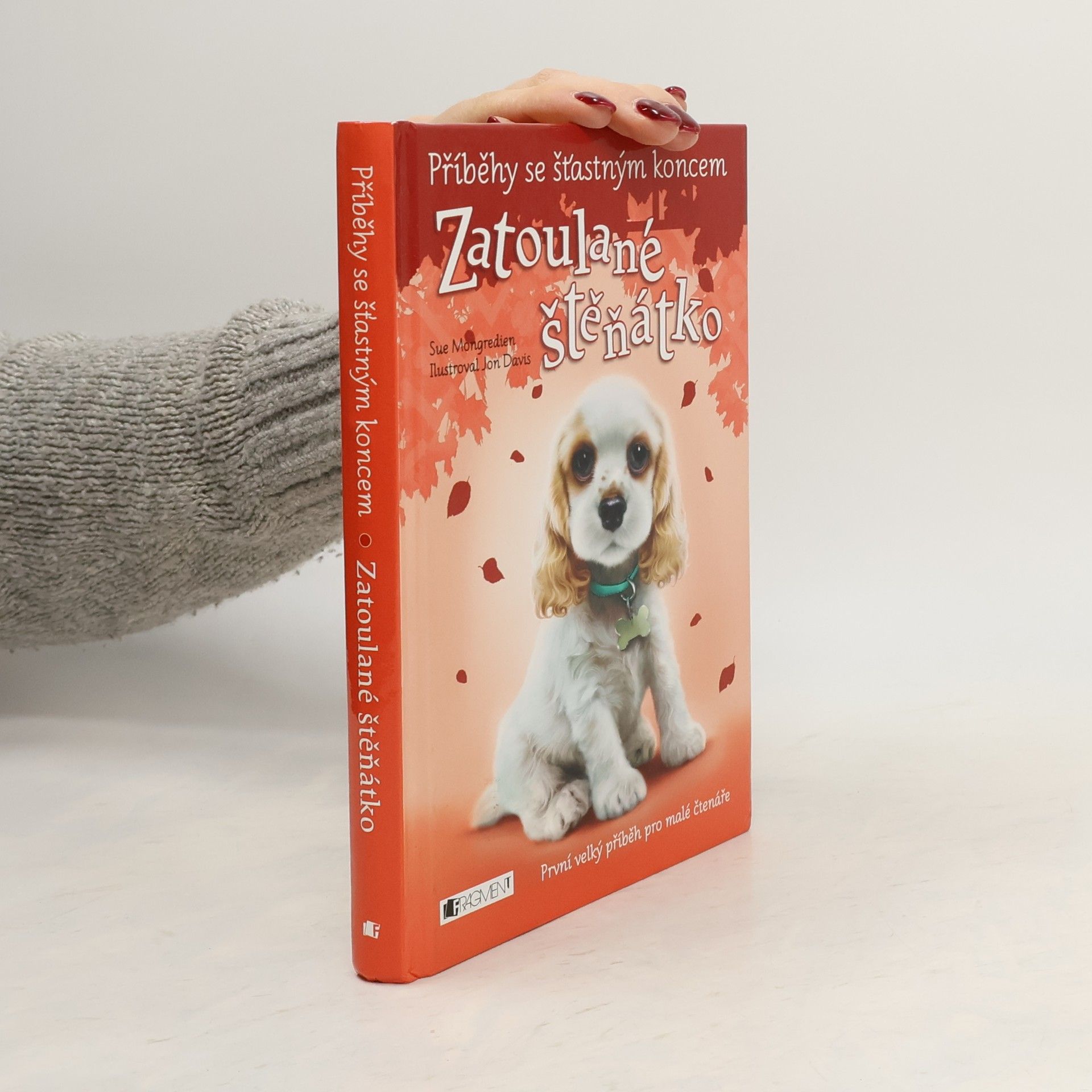 Jon Davis Zatoulané štěňátko