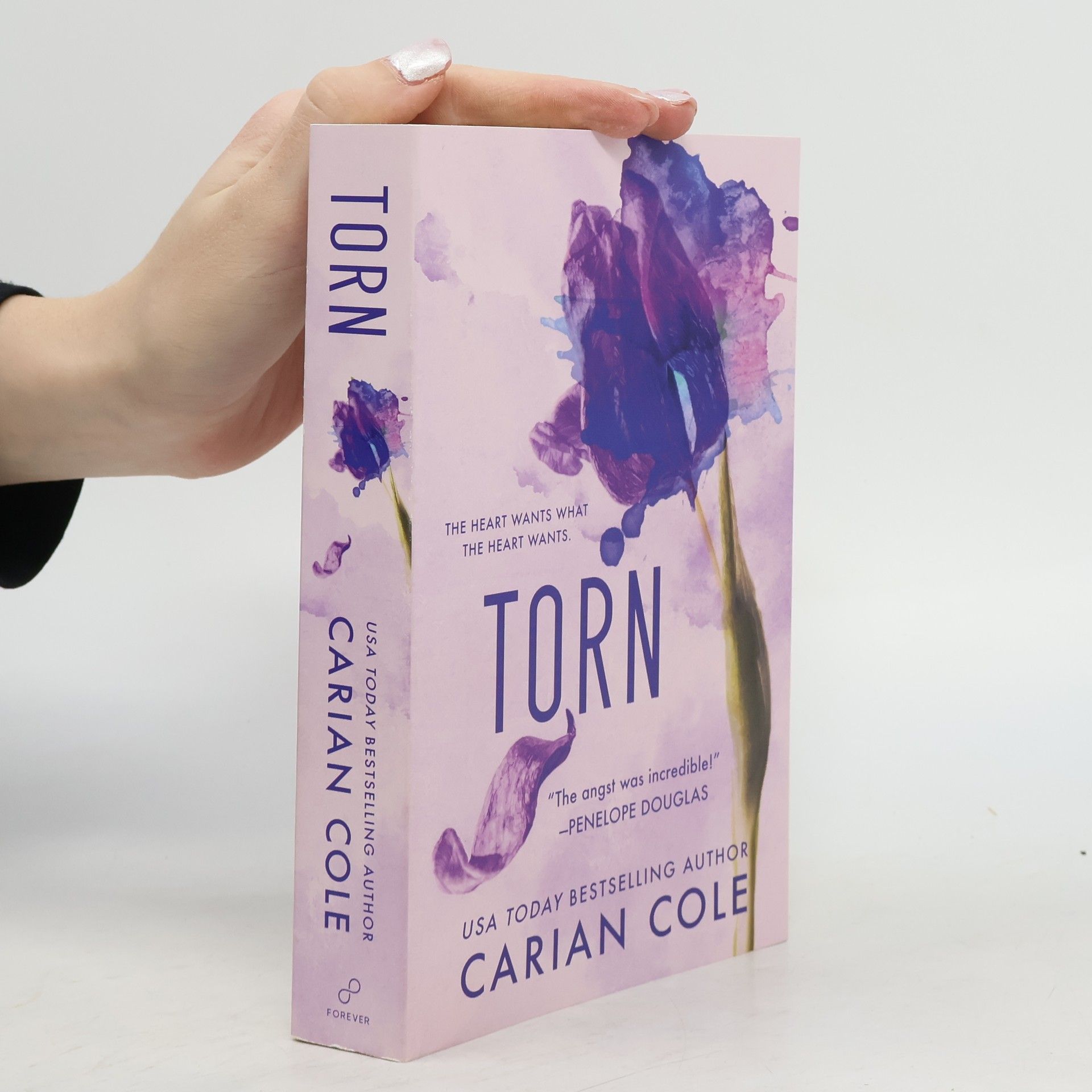 Collectif d'auteurs Torn