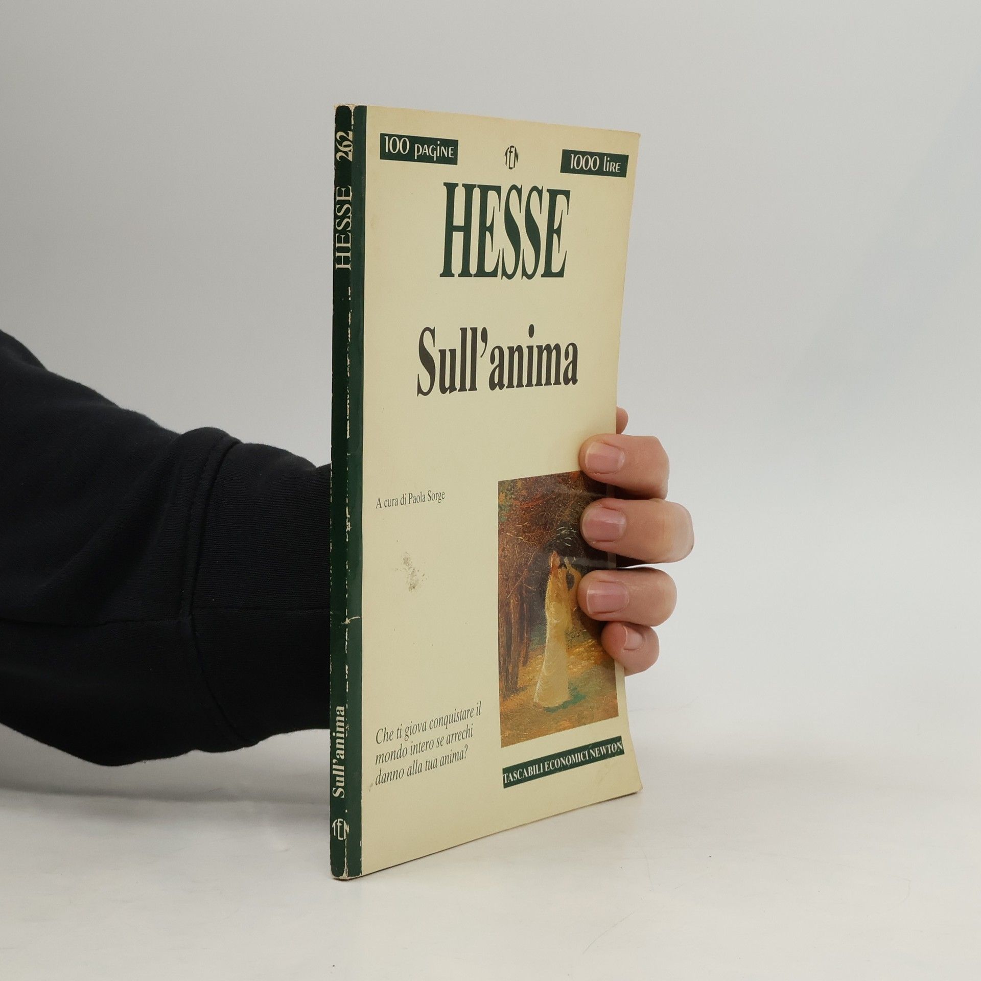 Hermann Hesse Tascabili Economici Newton - 262: Sull'anima