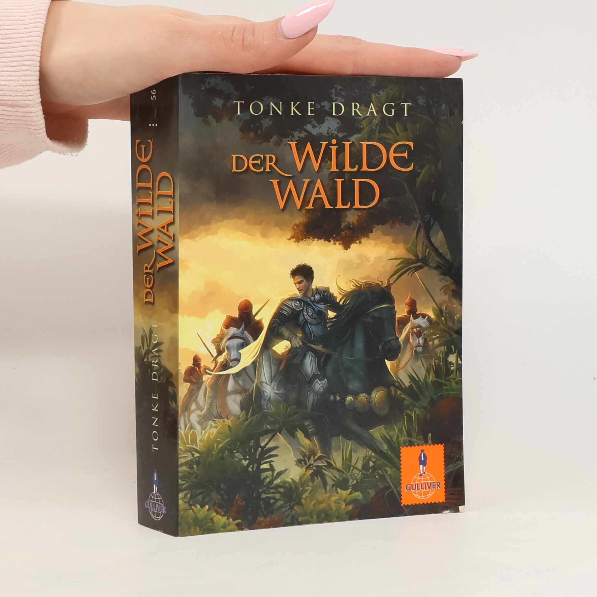 Tonke Dragt Der Wilde Wald