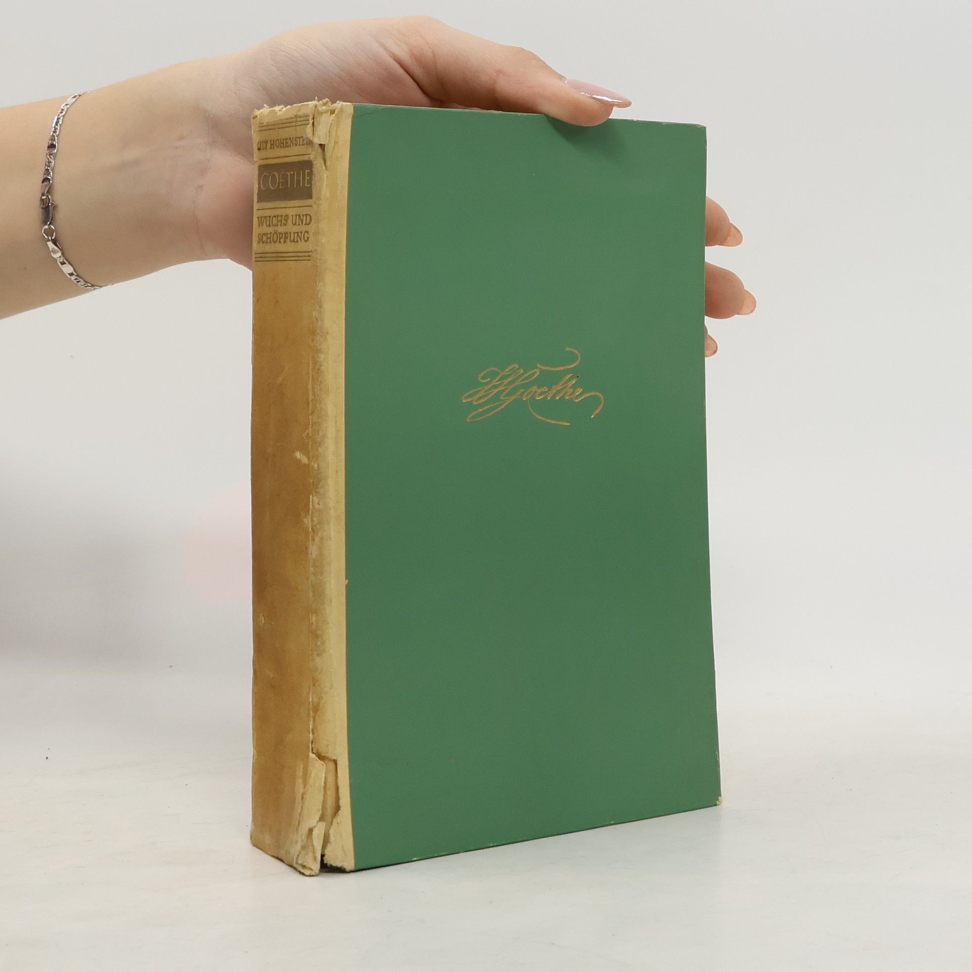 Lily Hohenstein Goethe. Wuchs und Schöpfung