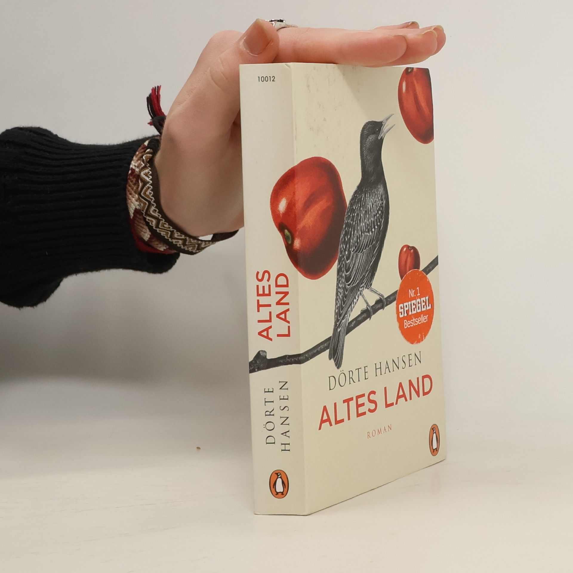 Dörte Hansen Altes Land