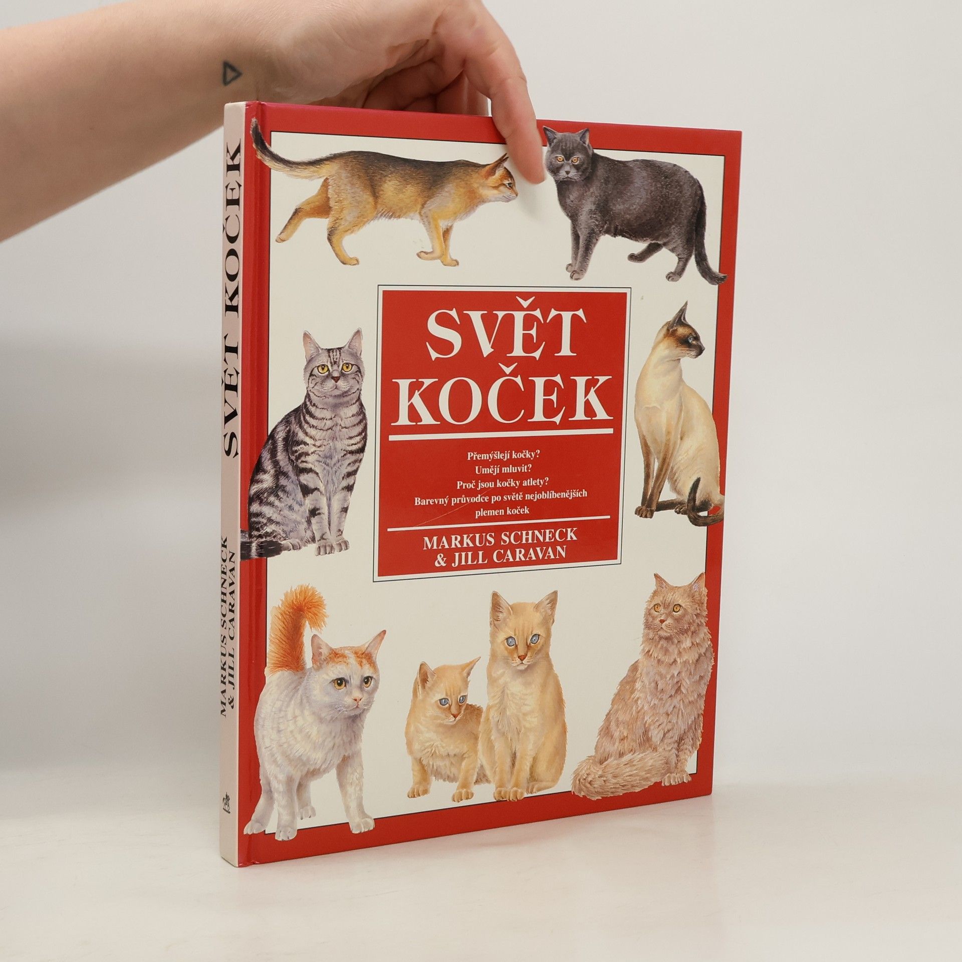 Marcus Schneck Svět koček