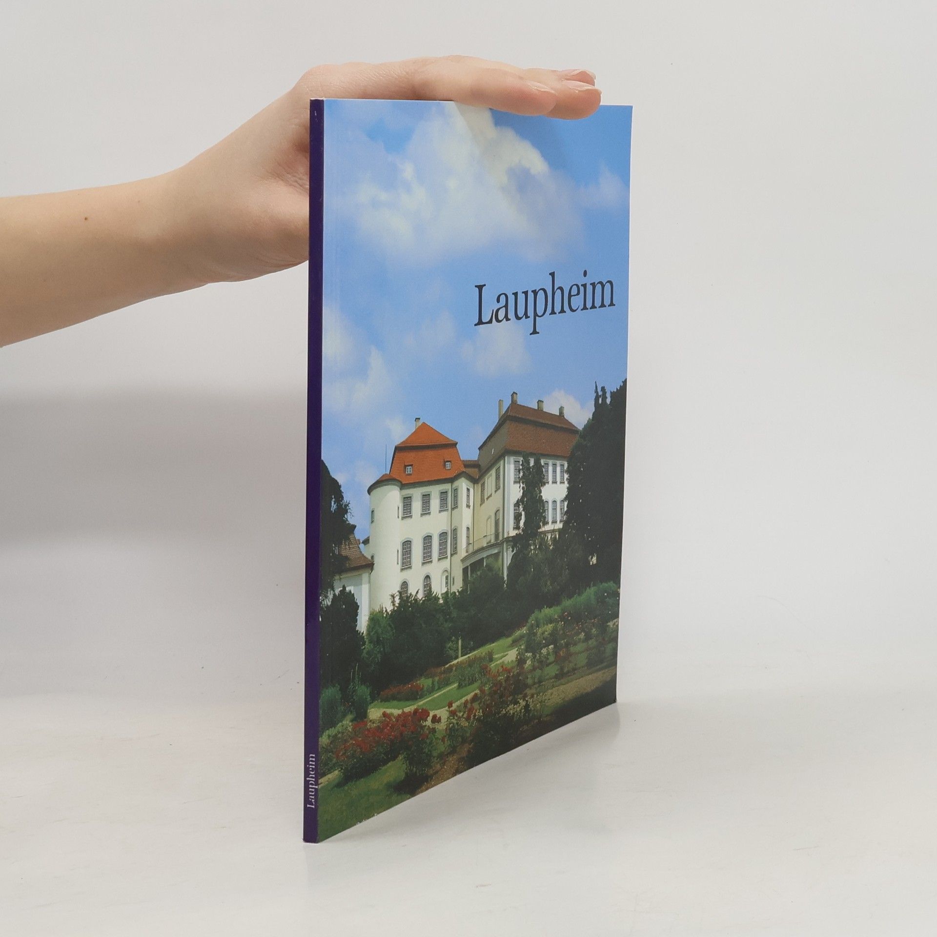 Auteurscollectief Laupheim