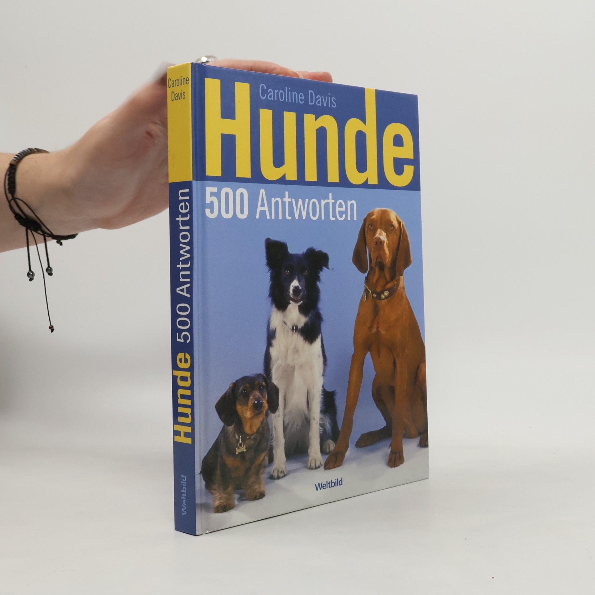 Caroline Davis Hunde