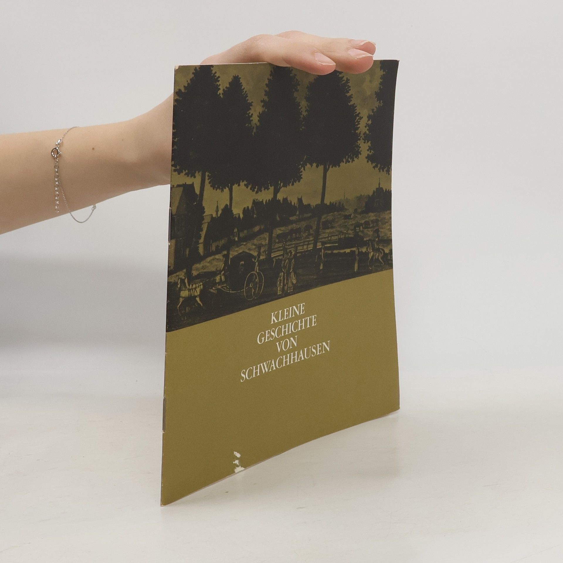 W. Schelter Kleine Geschichte von Schwachhausen