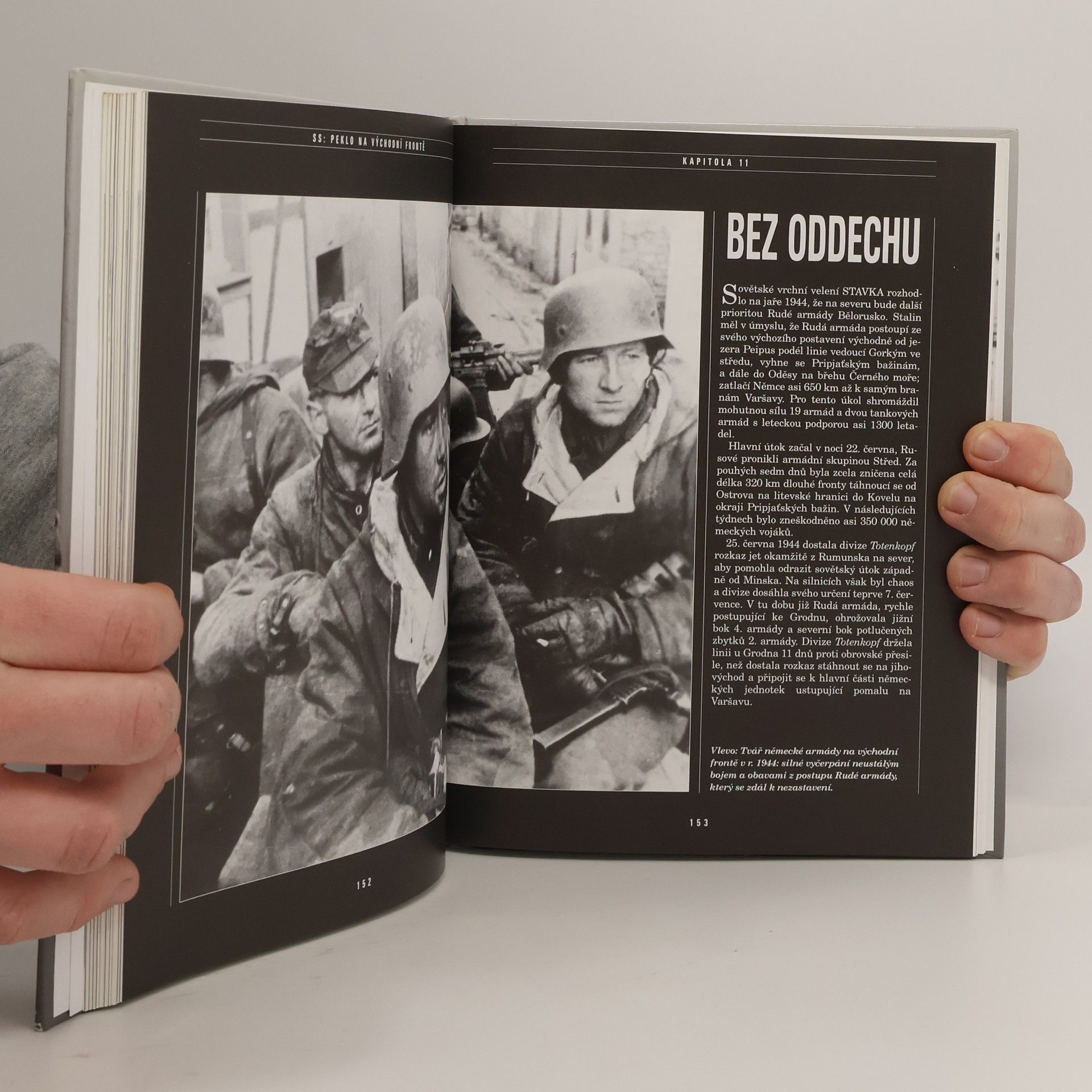 Christopher Ailsby SS: Peklo na východní frontě