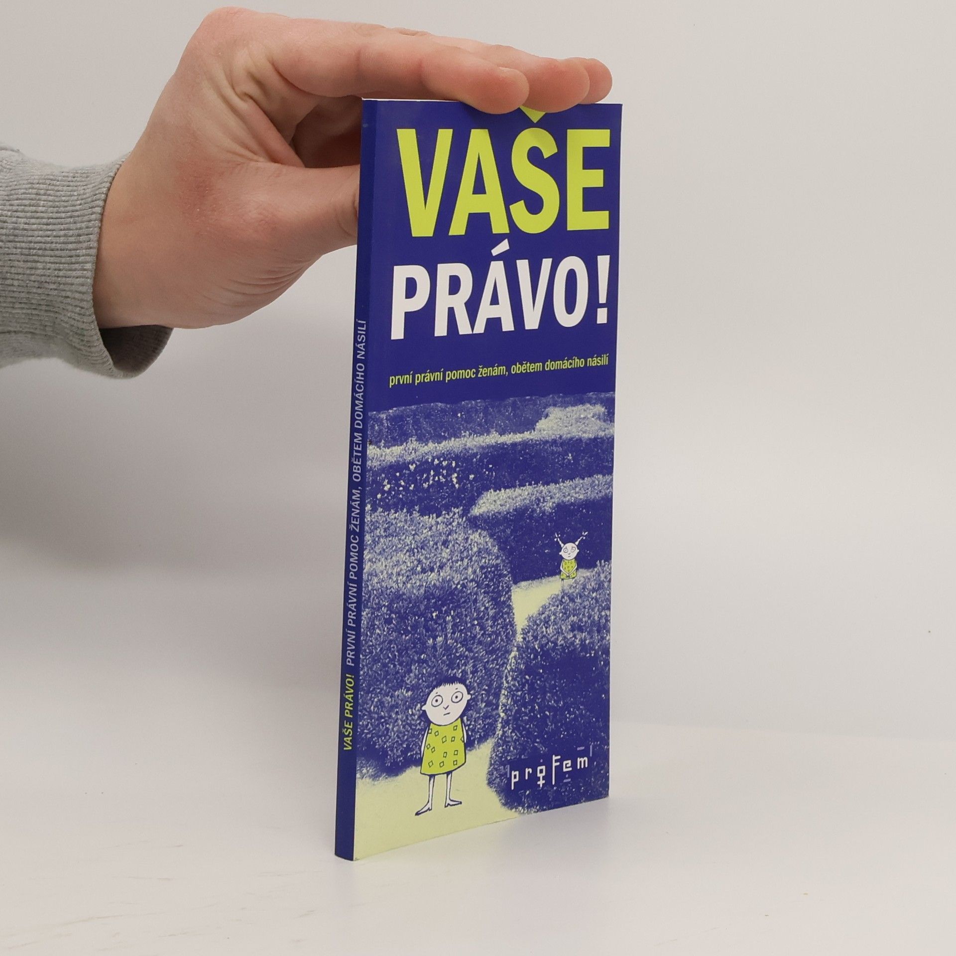 Vaše právo! První právní pomoc ženám, obětem domácího násilí