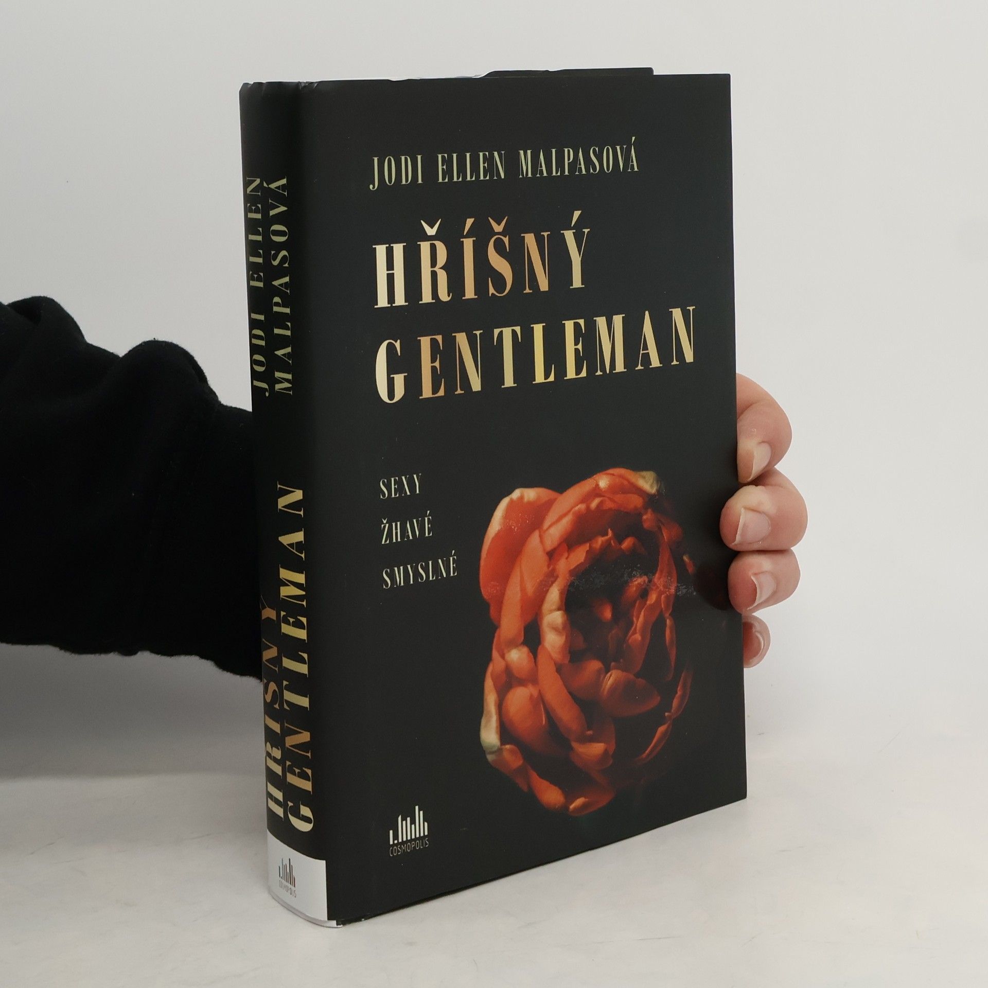 Jodi Ellen Malpas Hříšný gentleman