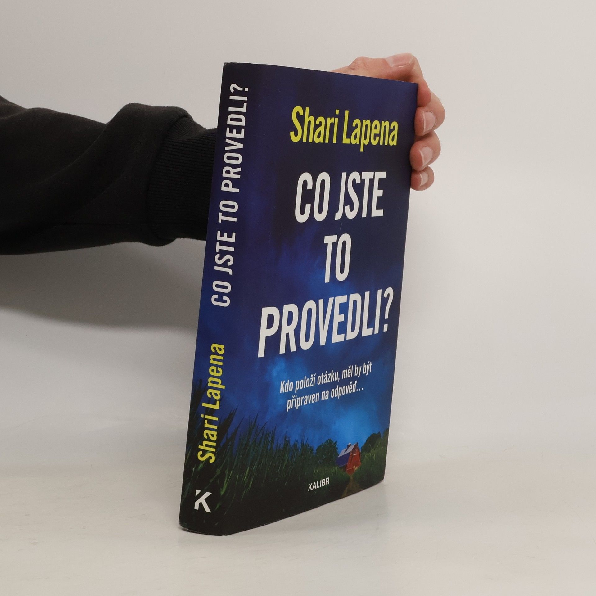 Shari Lapena Co jste to provedli?