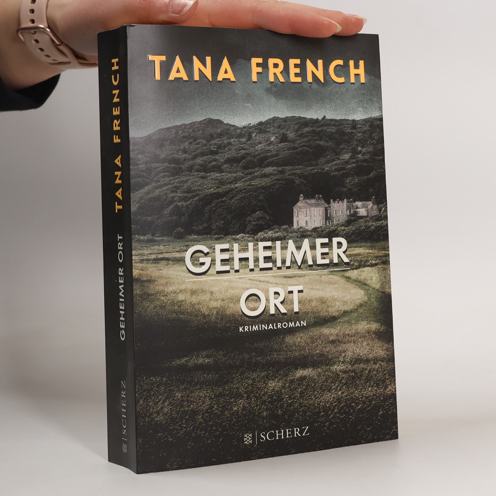 Tana French Geheimer Ort
