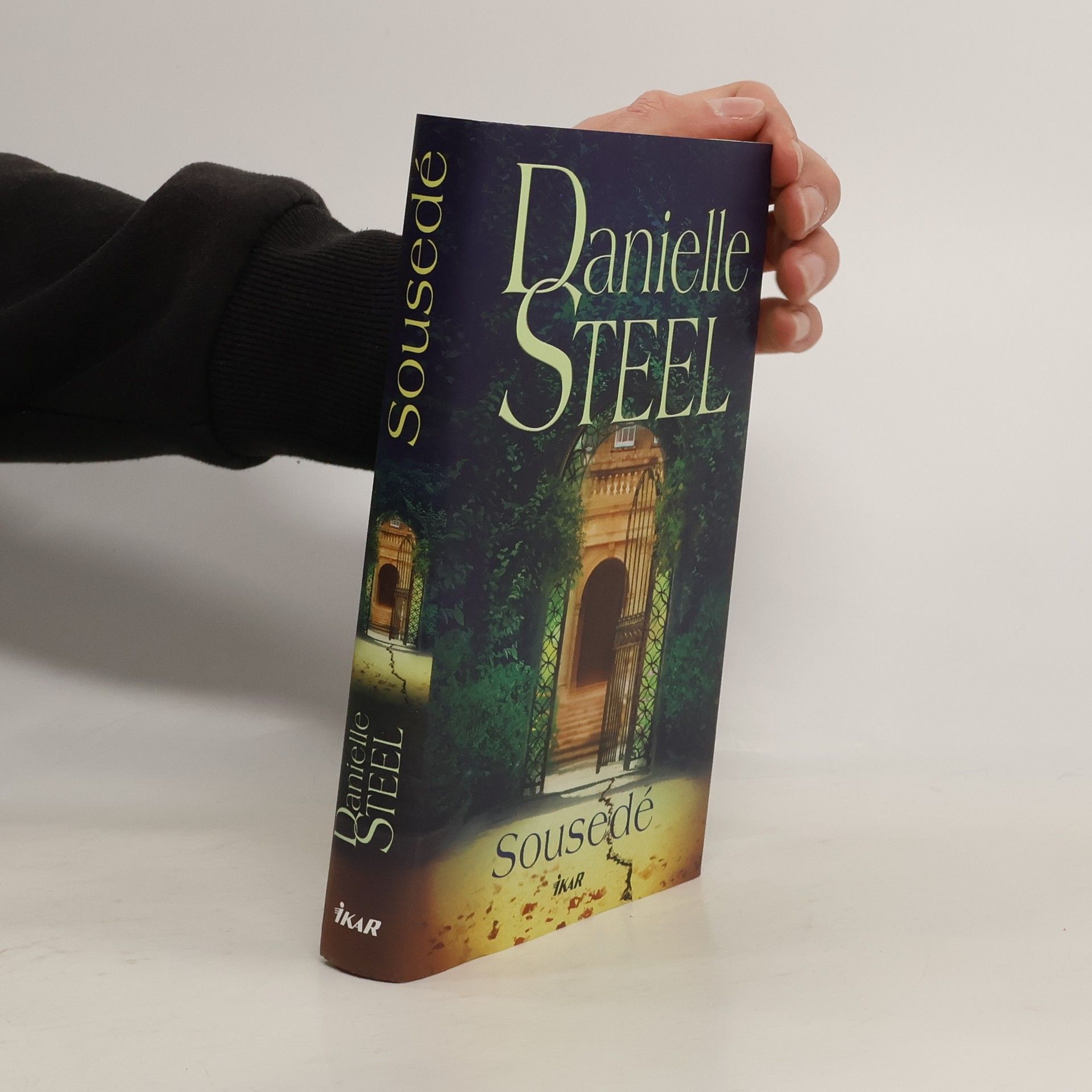 Danielle Steel Sousedé