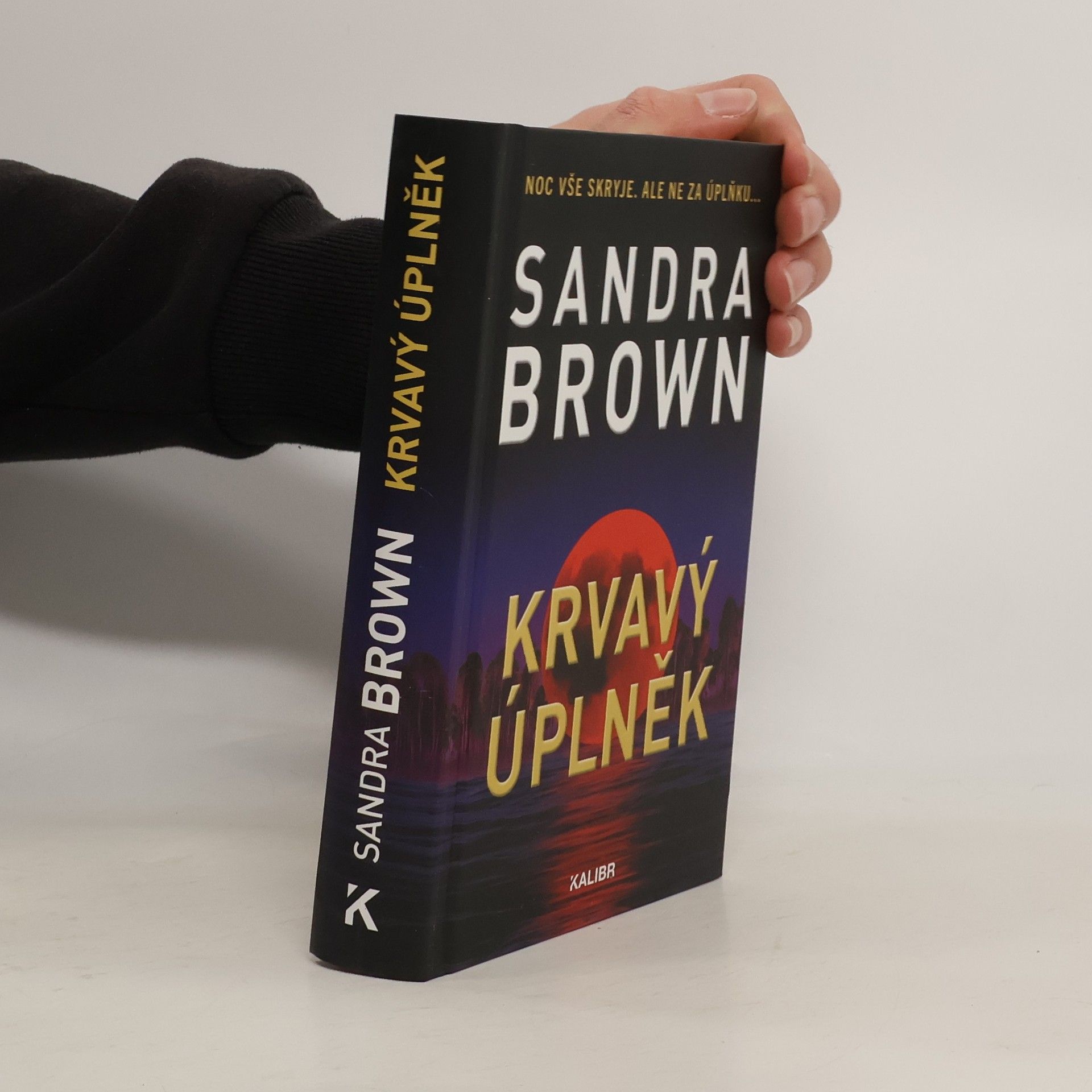 Sandra Brown Krvavý úplněk