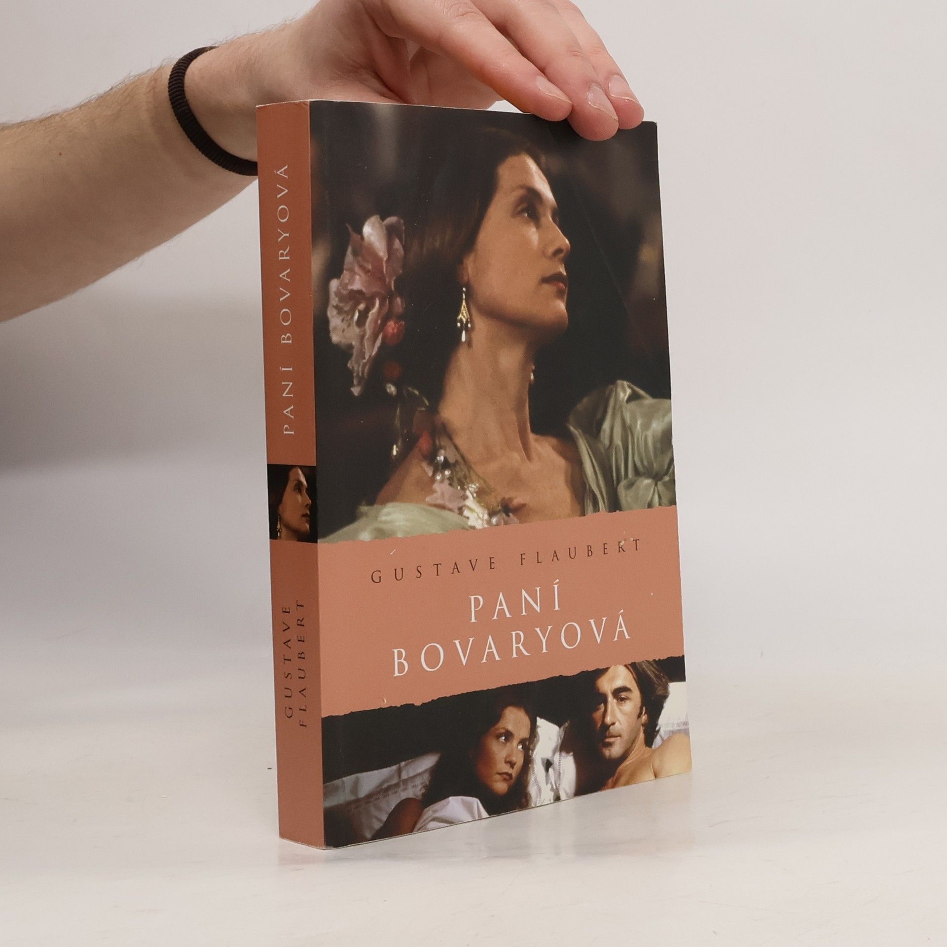 Gustave Flaubert Paní Bovaryová