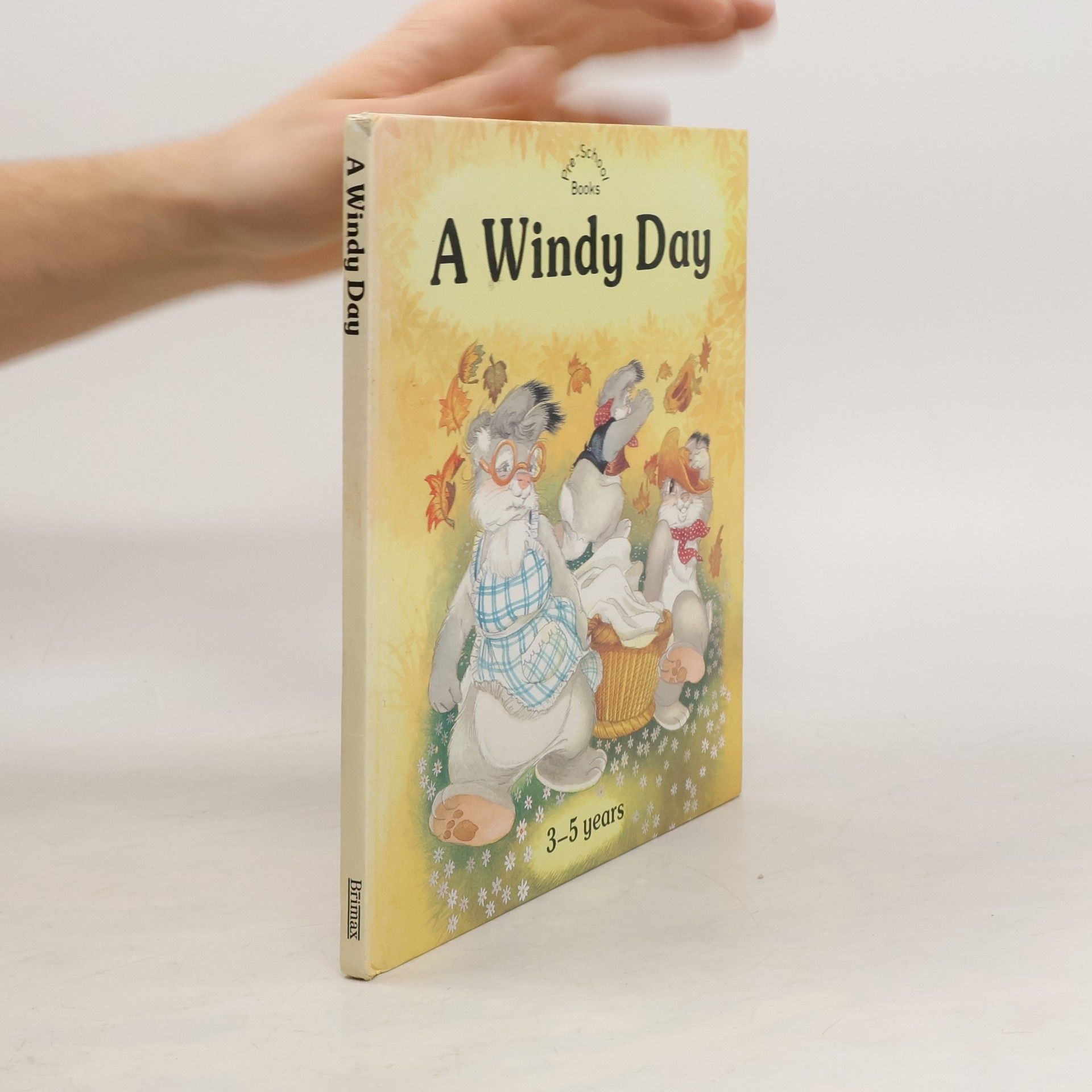 Lucy Kincaid A Windy Day