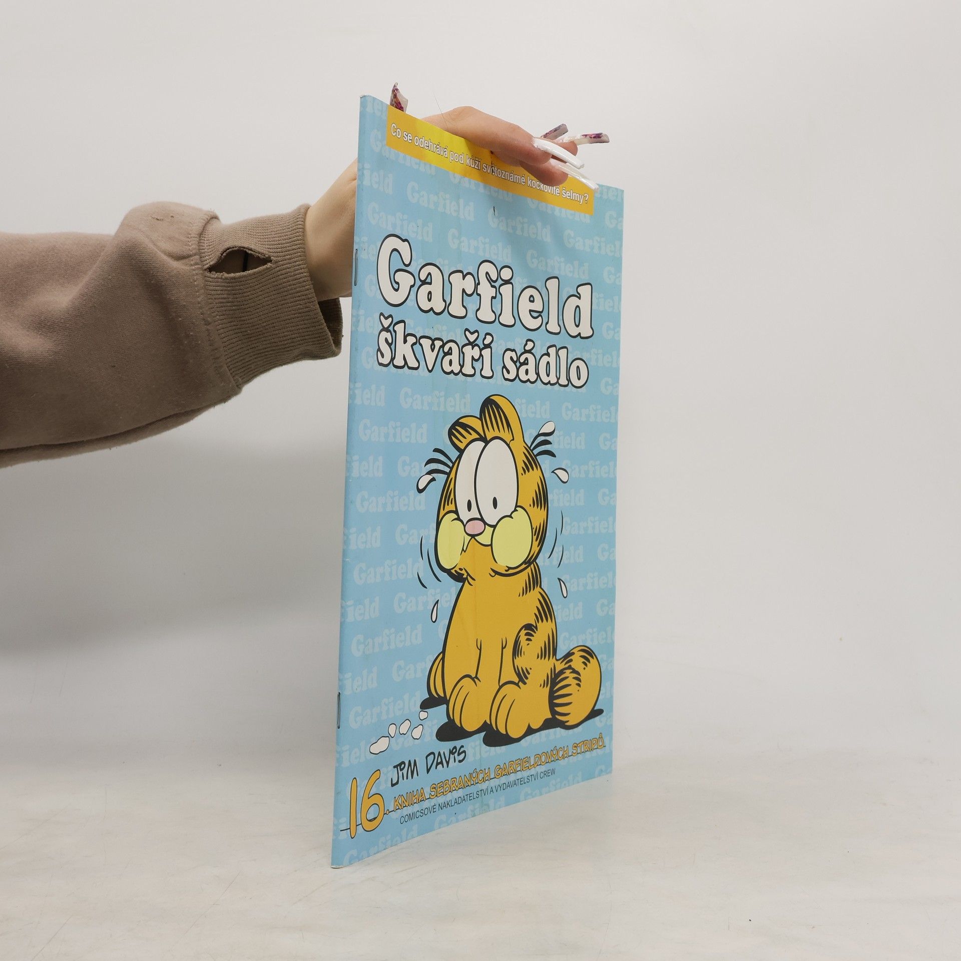 Jim Davis Garfield škvaří sádlo