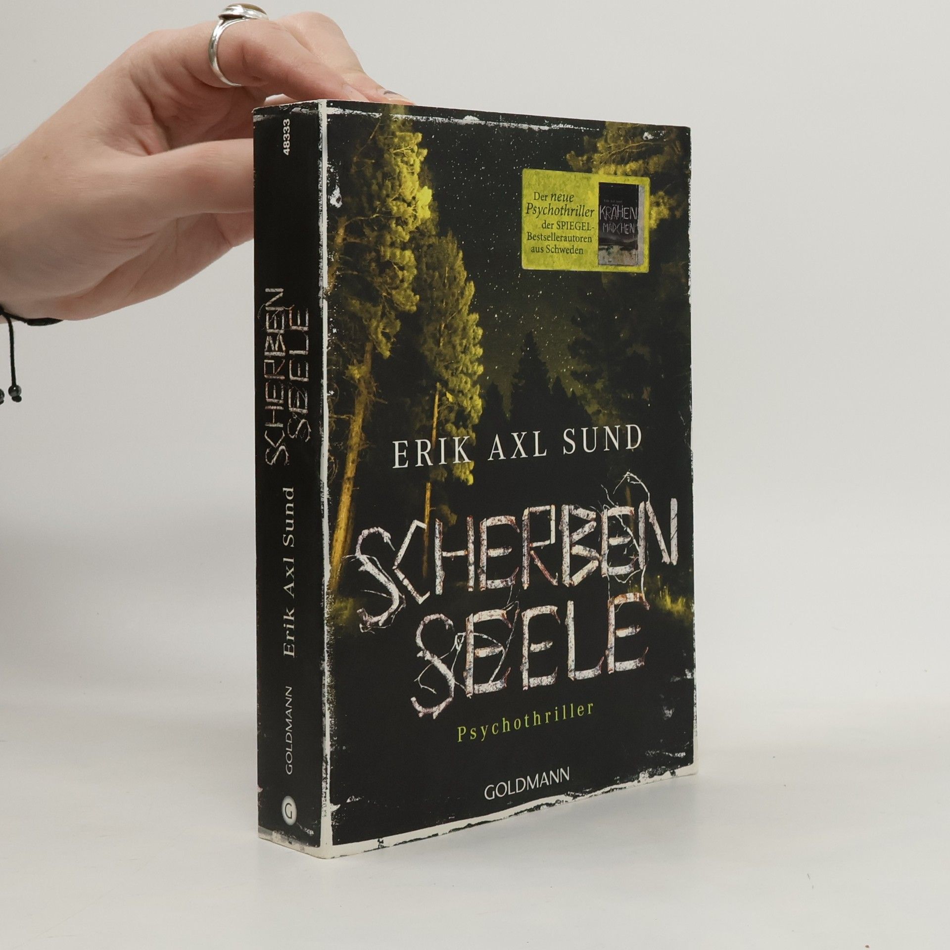 Erik Axl Sund Scherbenseele