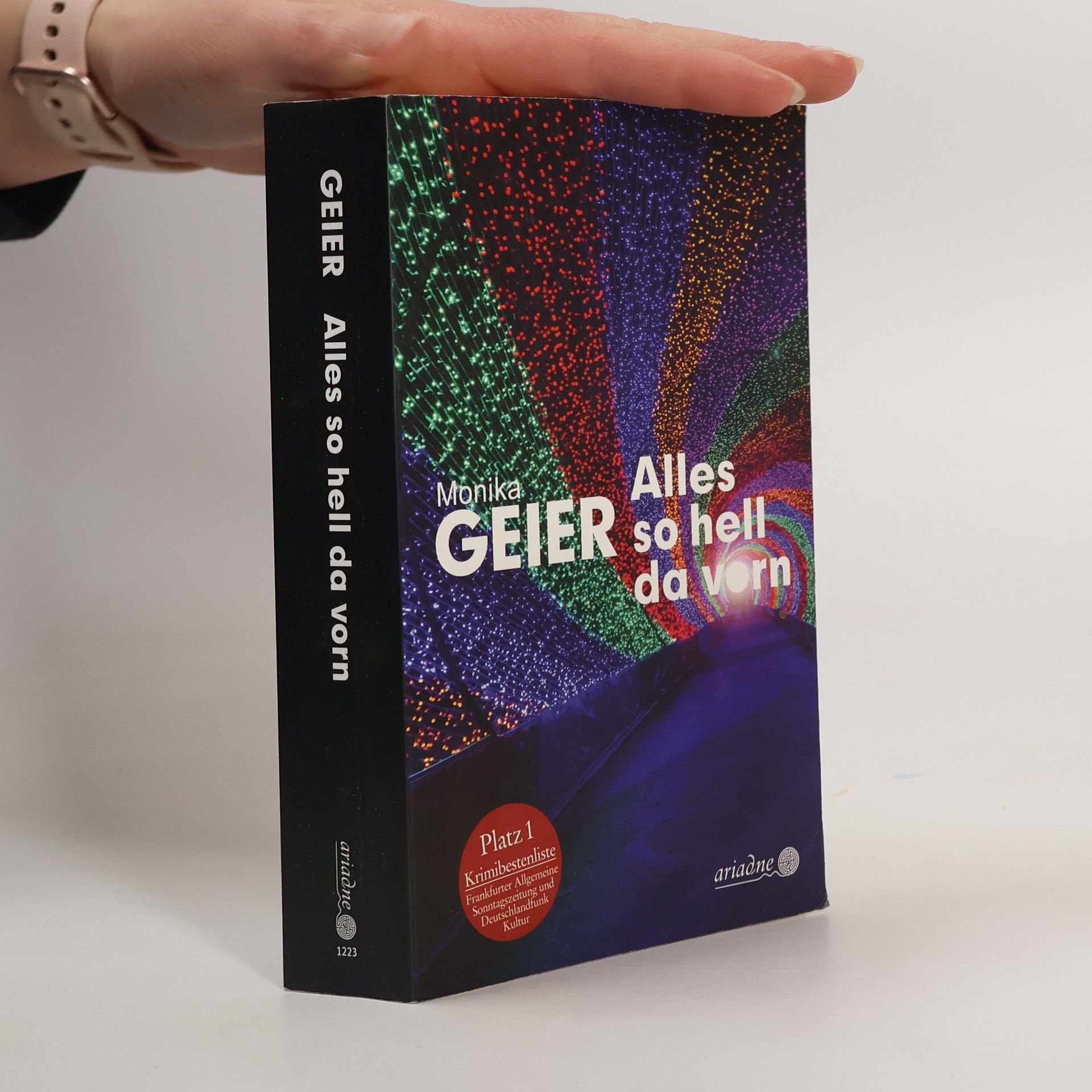 Monika Geier Alles so hell da vorn