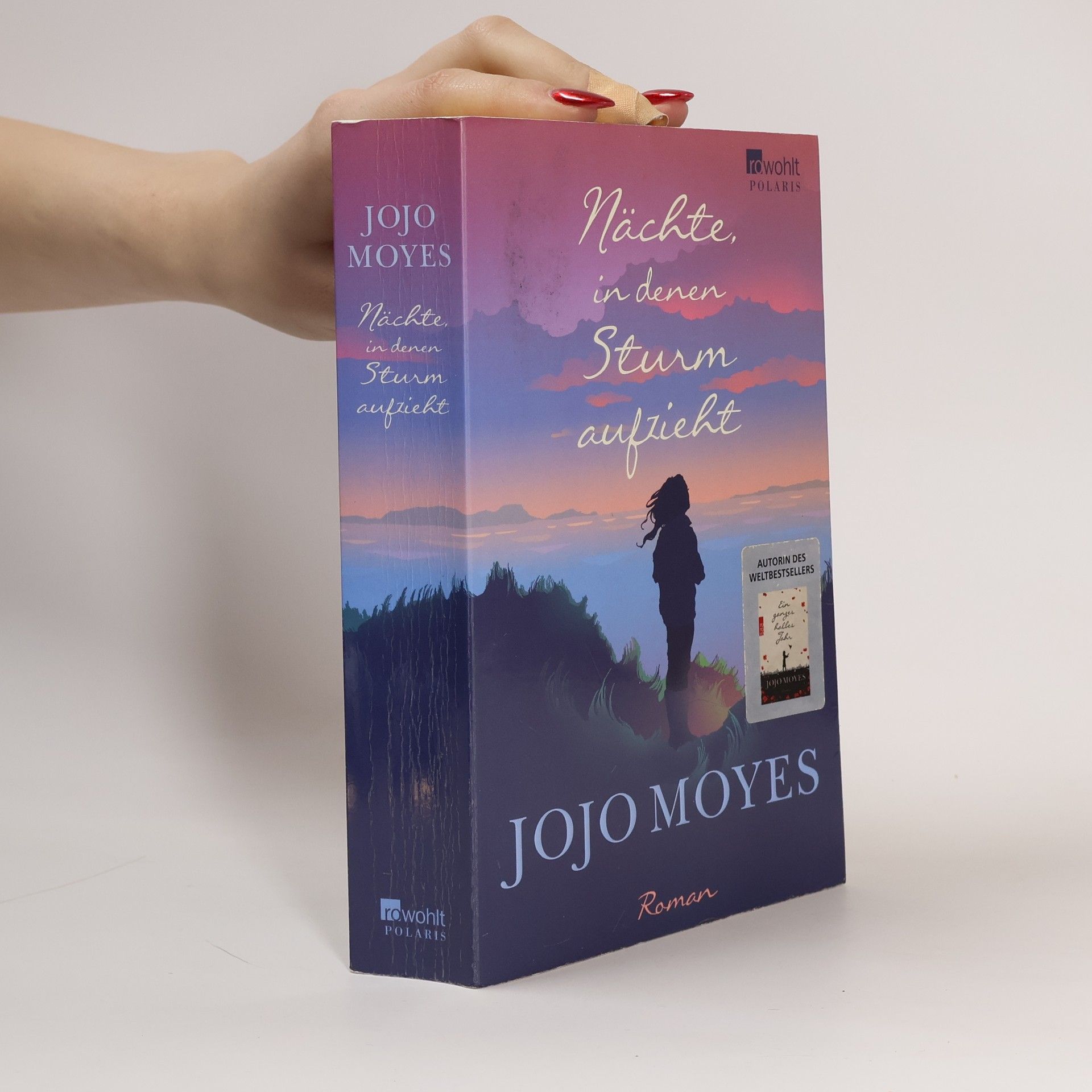 Jojo Moyes Nächte in denen Sturm aufzieht