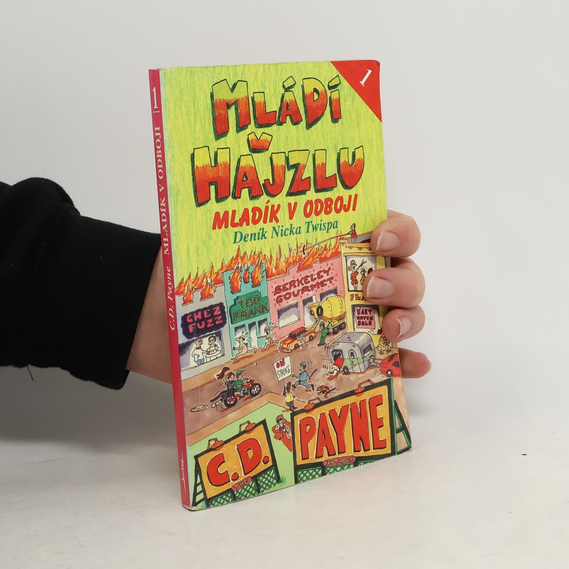 Mládí v hajzlu: Deník Nicka Twispa. Kniha 1., Mladík v odboji